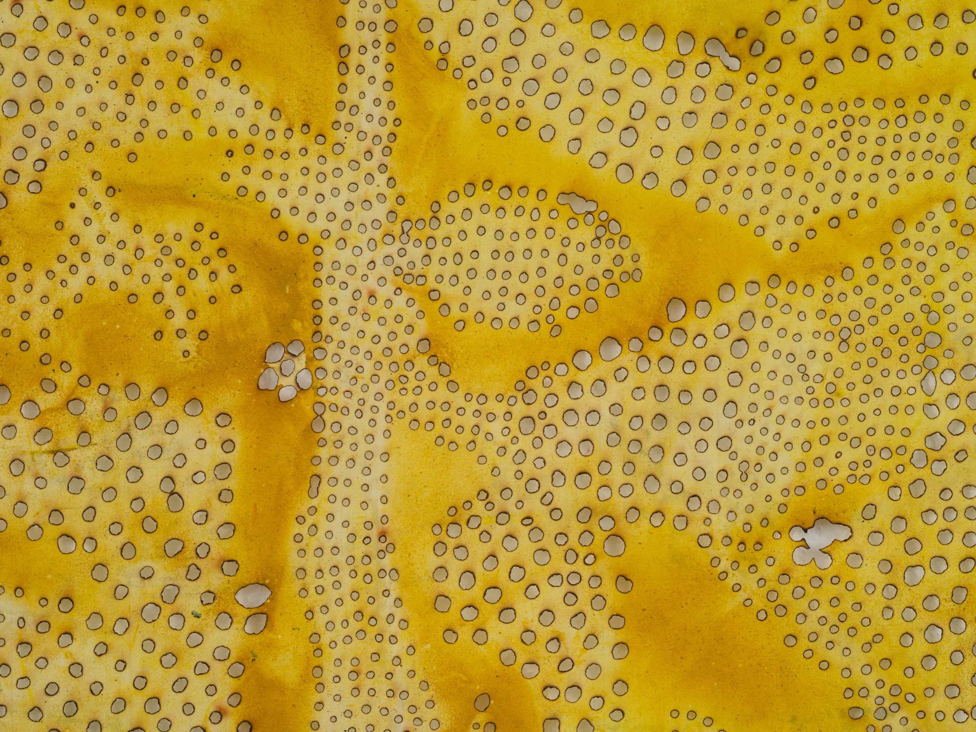 MCC_2019_0096_Detail 2.jpg