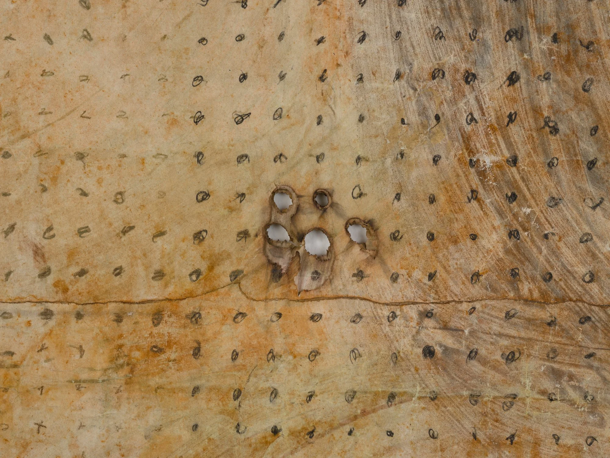 MCC_2019_0351_Detail 4.jpg