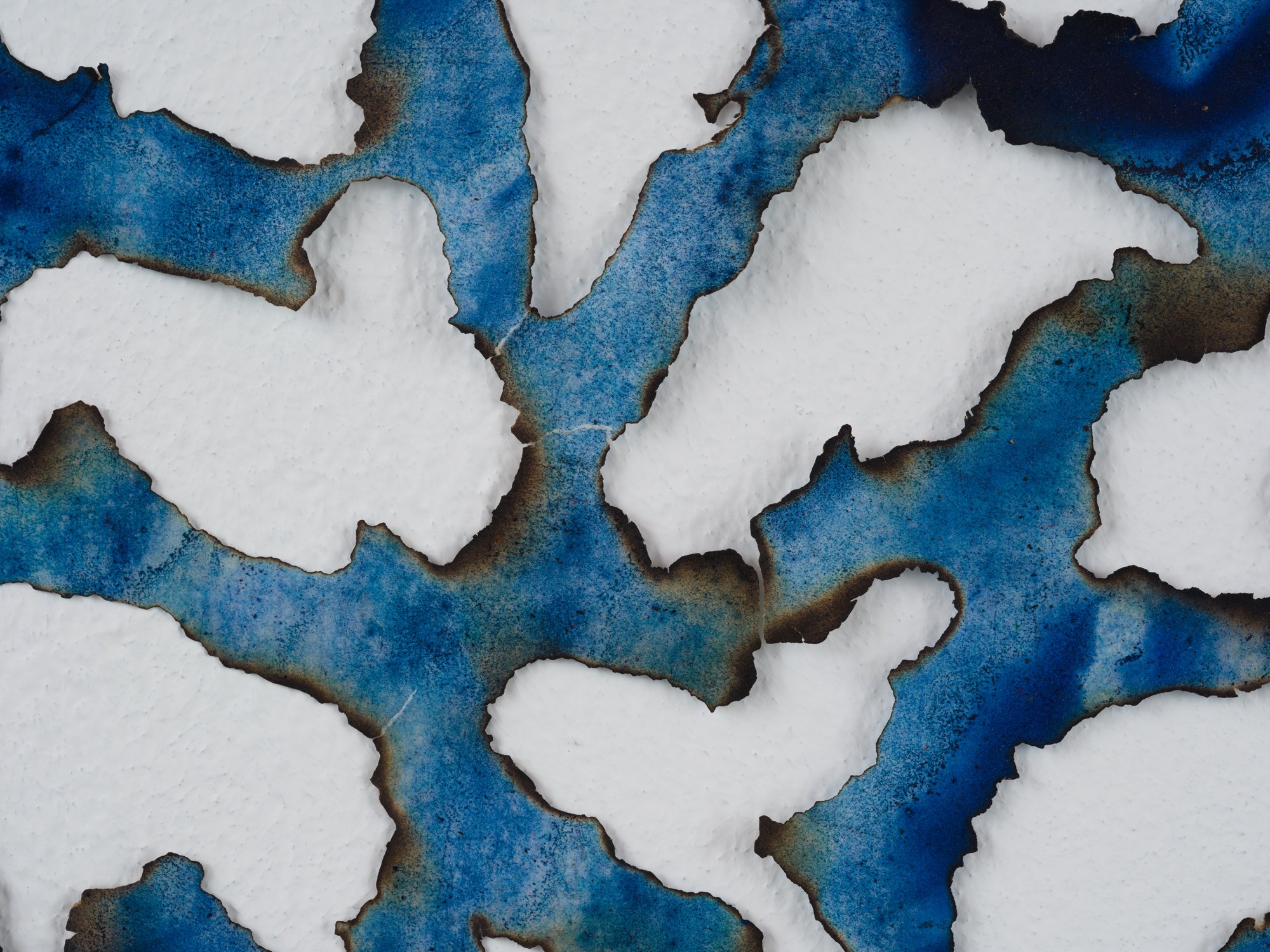 MCC_2019_0427_Detail 1.jpg