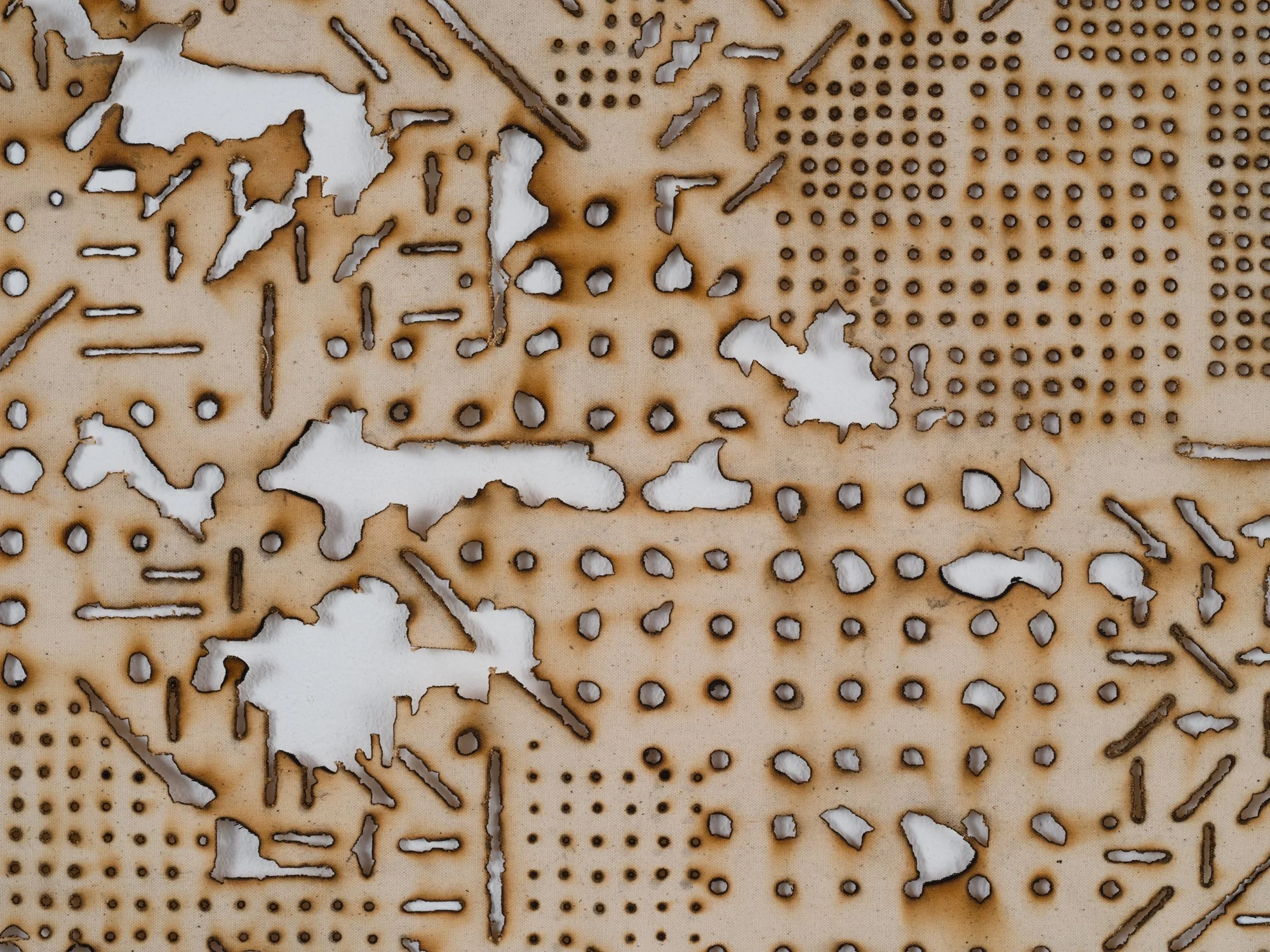 MCC_2019_0554_Detail 1.jpg