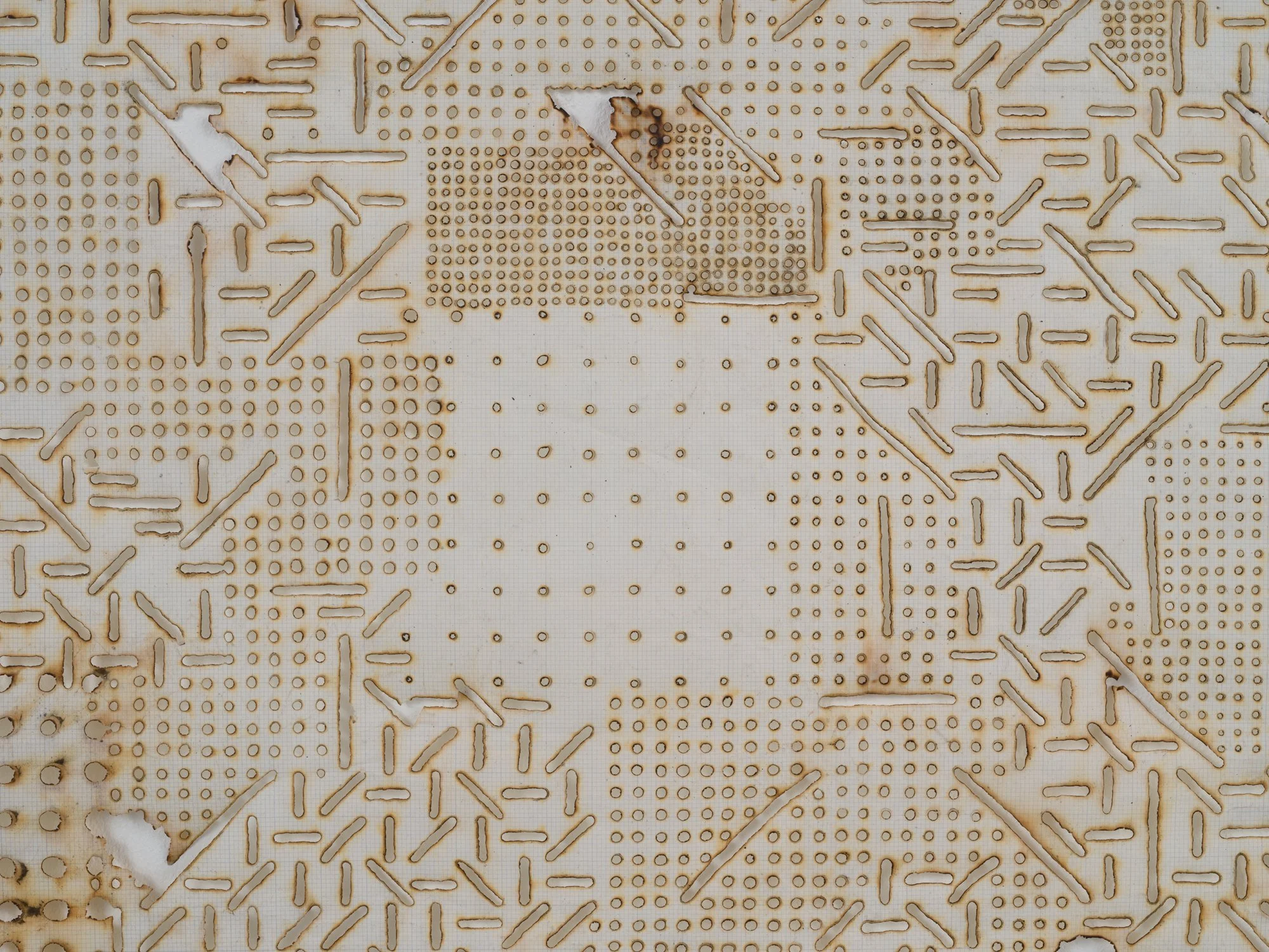 MCC_2019_0555_Detail 1.jpg