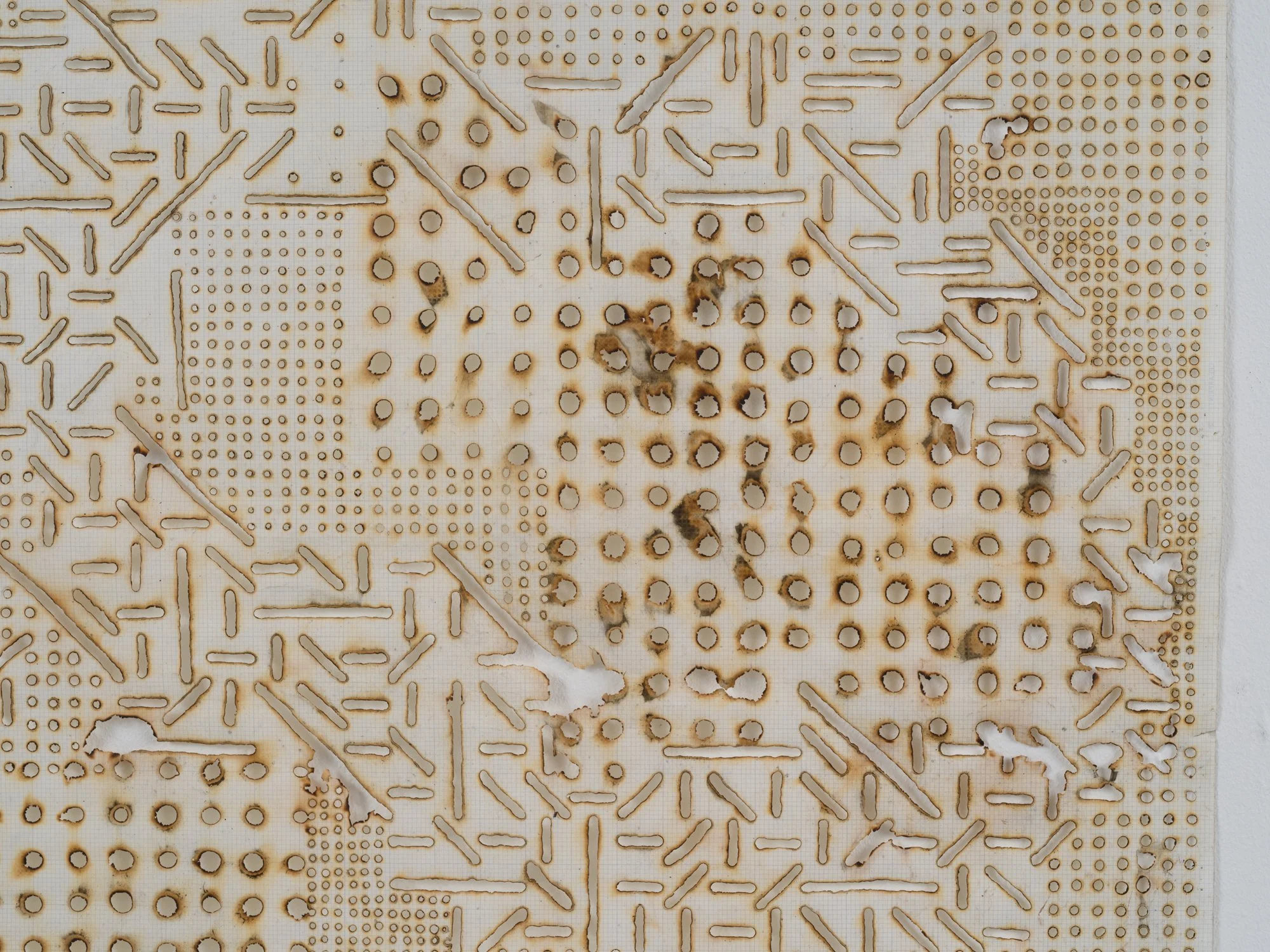 MCC_2019_0555_Detail 2.jpg