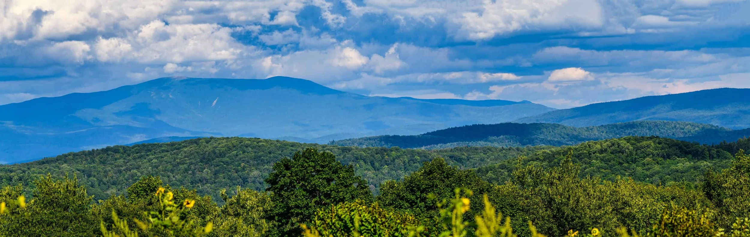 Scenic landscape with lush green forest, rolling hills, and distant mountainous terrain under a partly cloudy sky.