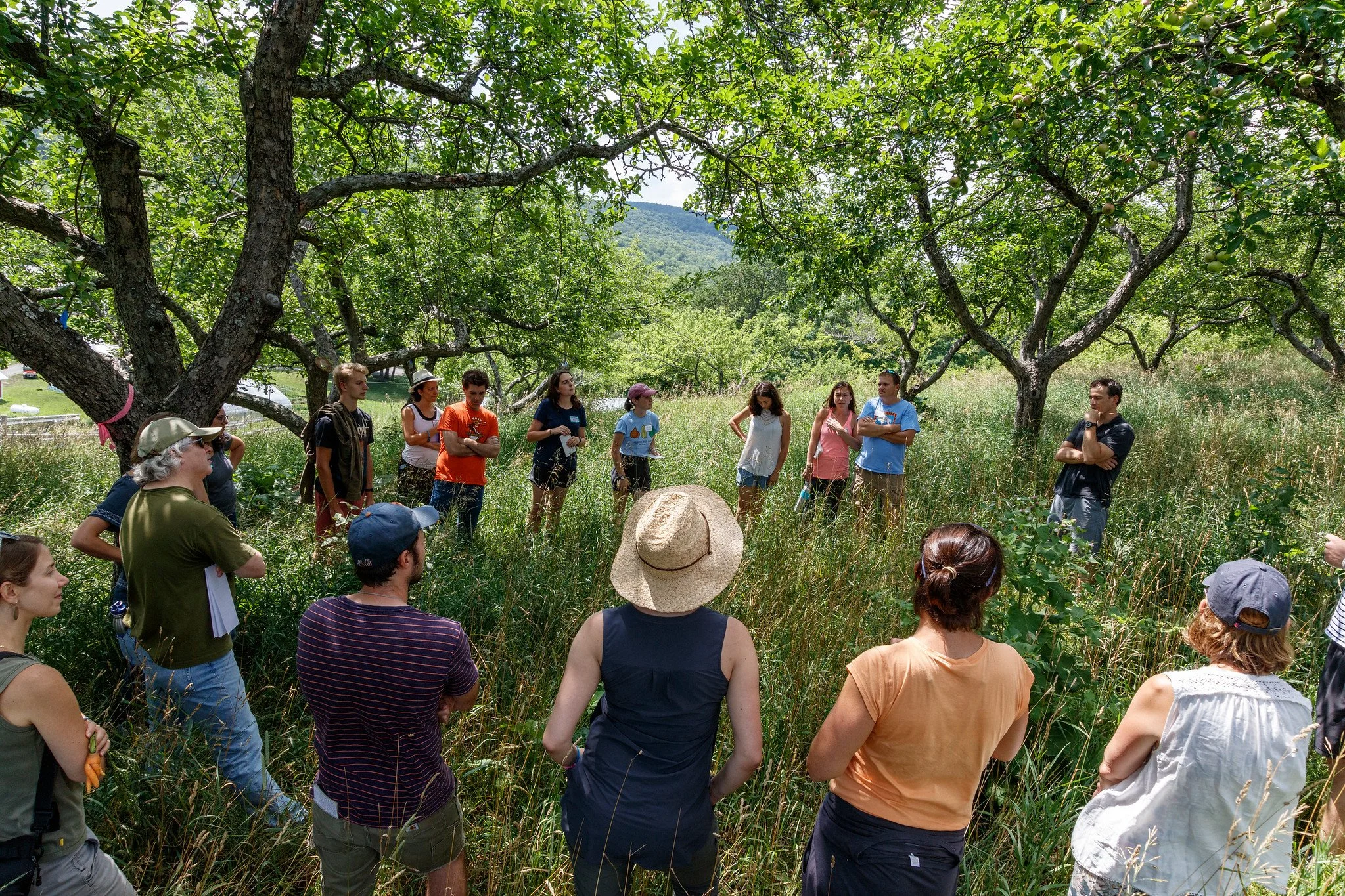 Mountain School Through Alumni Parent Eyes