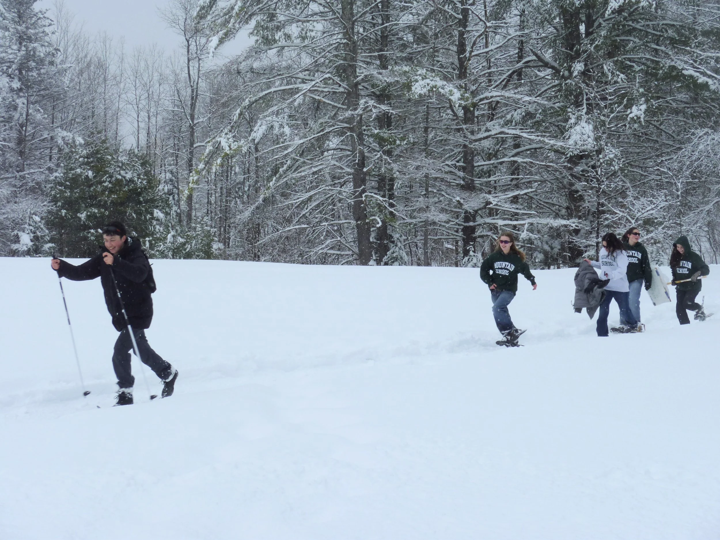 TMS: Stories from the Spring '26 Semester