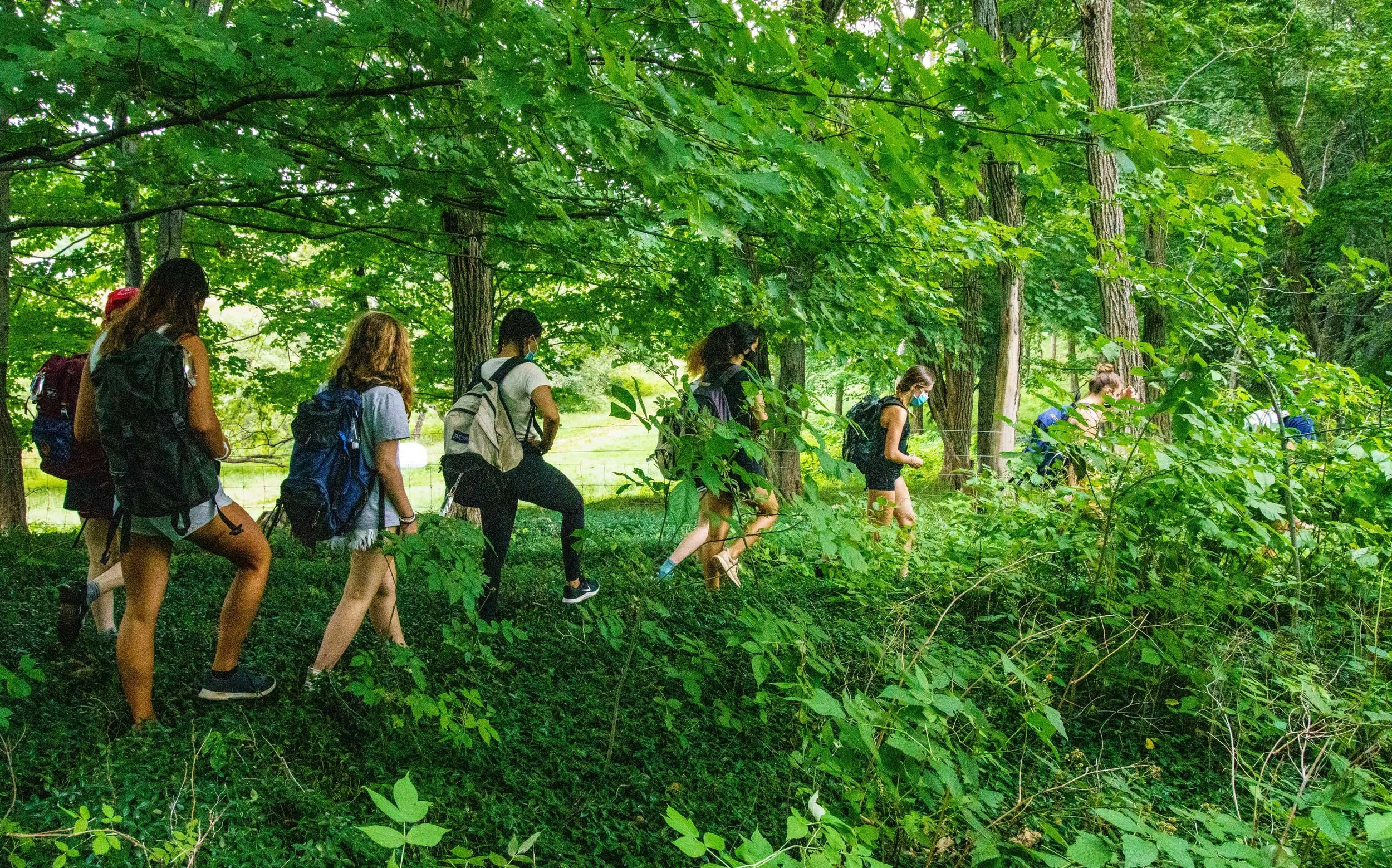Group of people, mostly women, hiking through a lush green forest with dense foliage and tall trees.