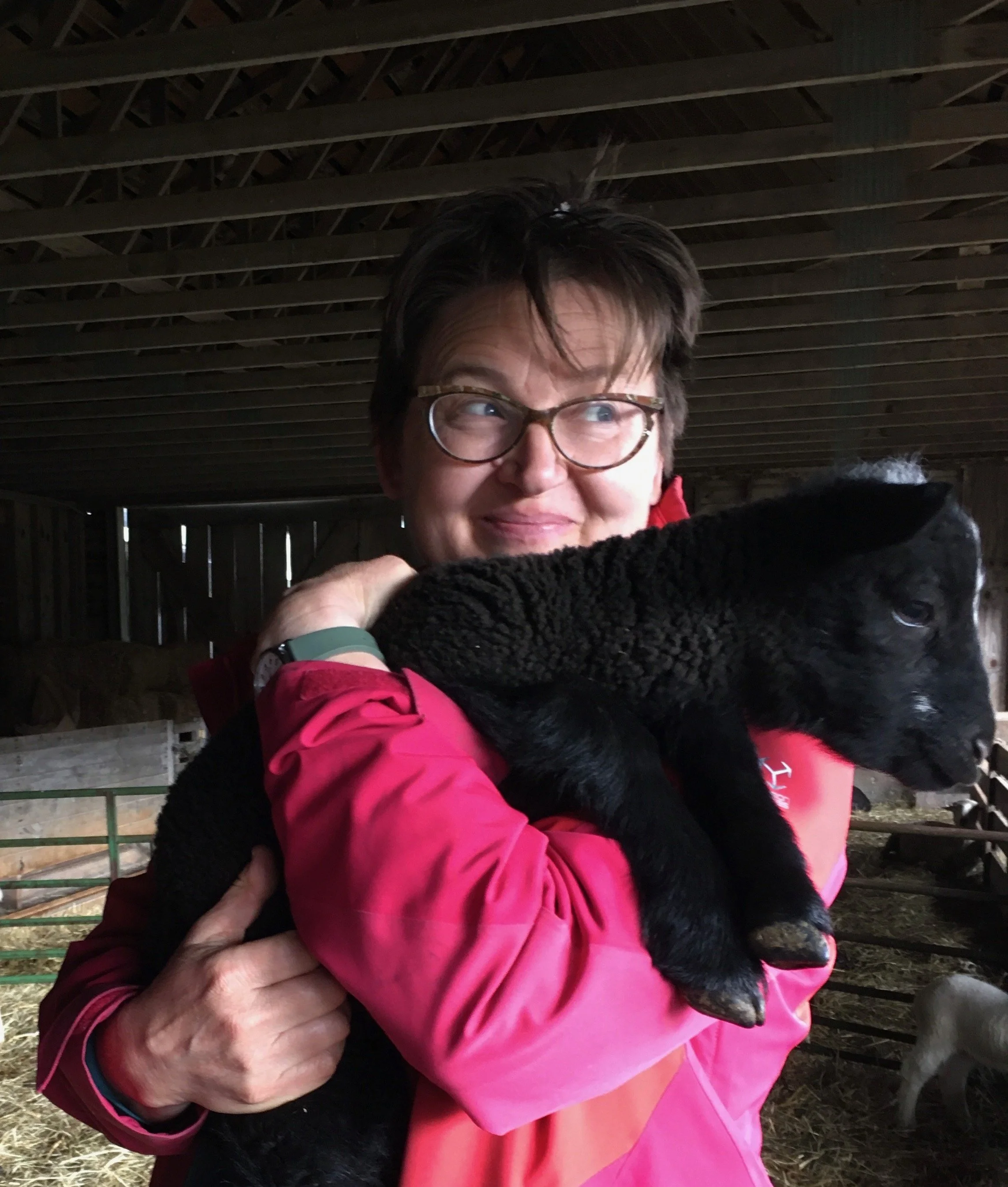 Faculty Profile picture of Greta Marchesi. A woman smiling outdoors with short brown hair and glasses, holding a lamb..