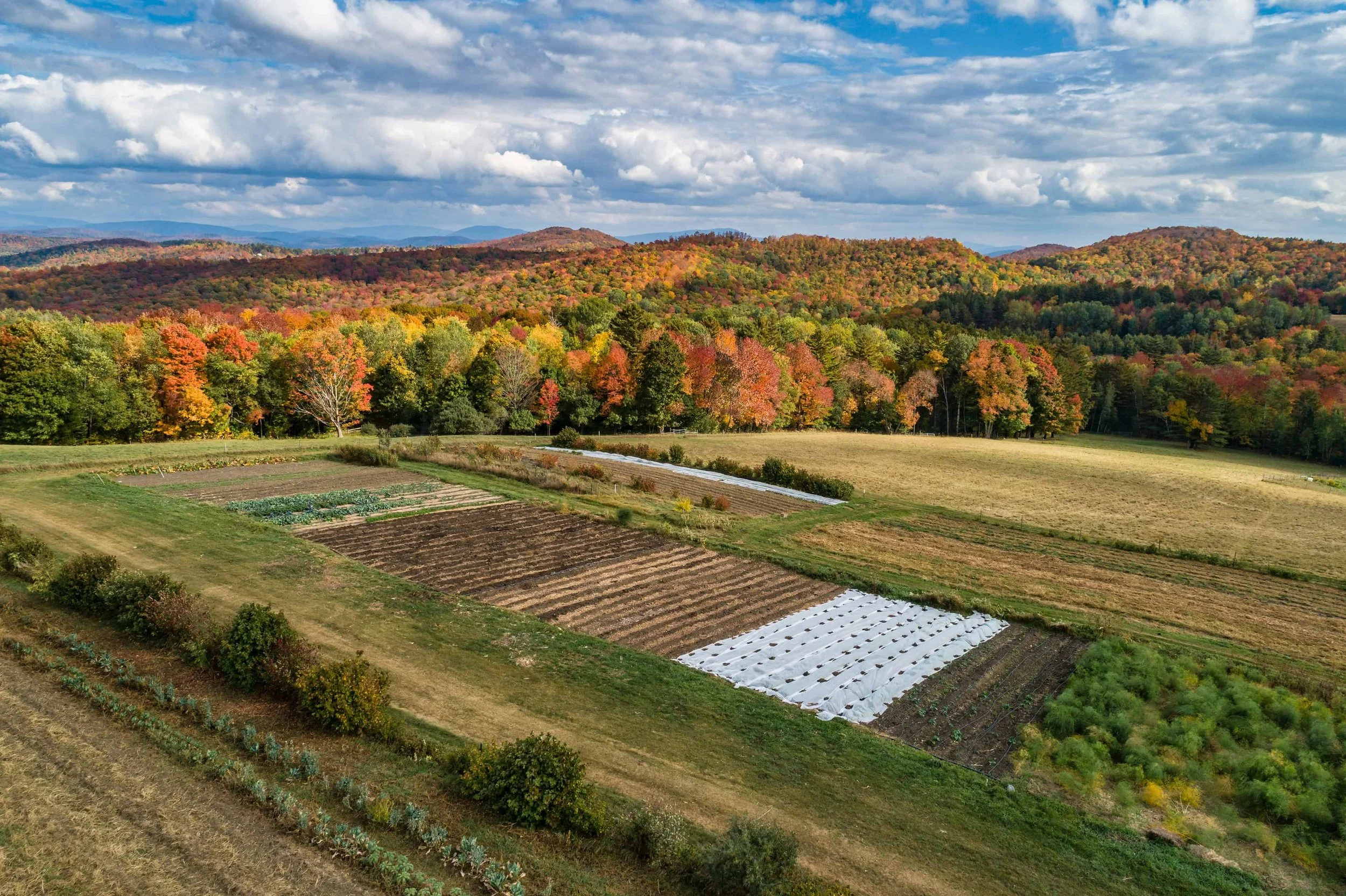 A scenic landscape of rolling hills covered with colorful autumn foliage, with a farm field in the foreground and a partly cloudy sky overhead.