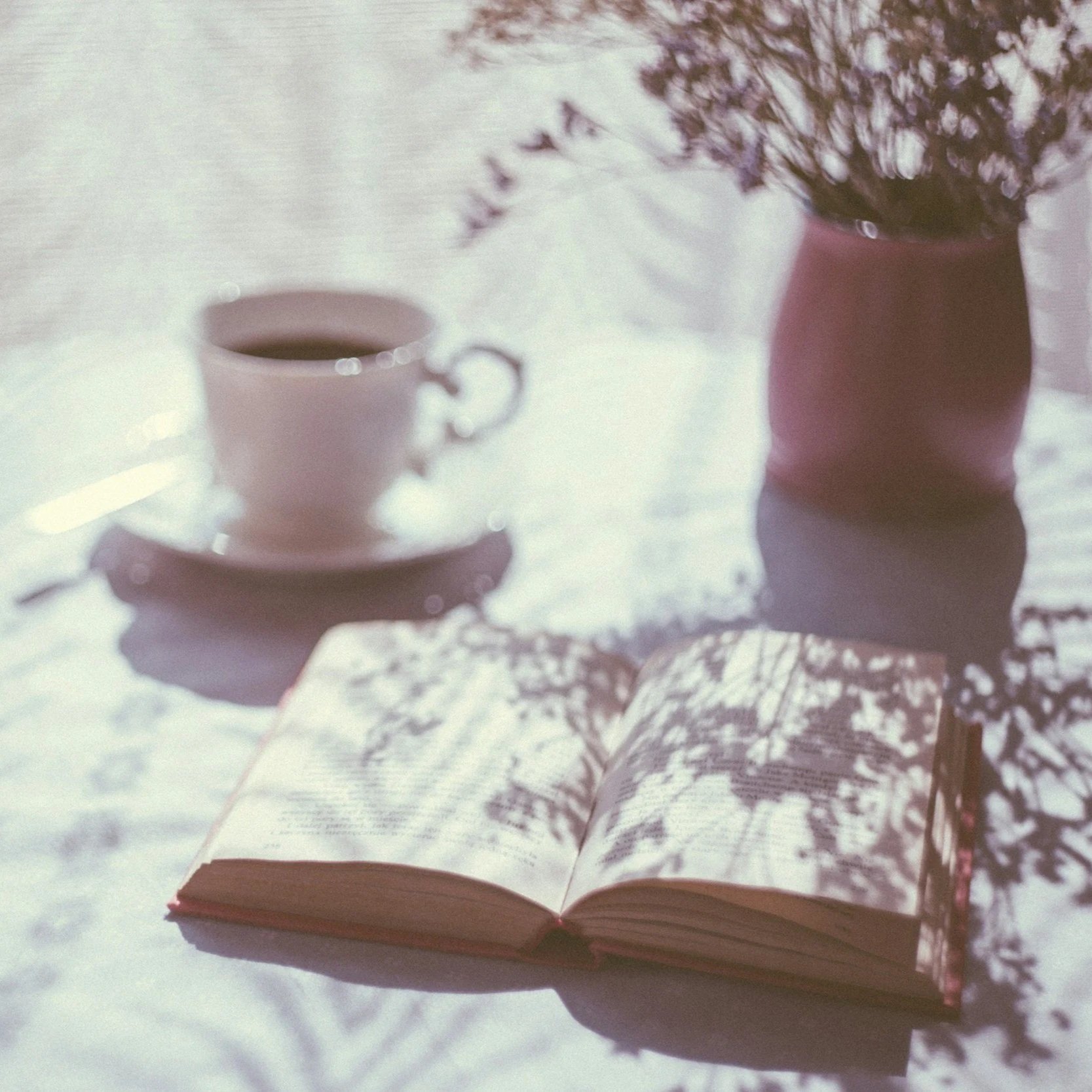 5 Impactful Reads to Add To Your Bookshelf