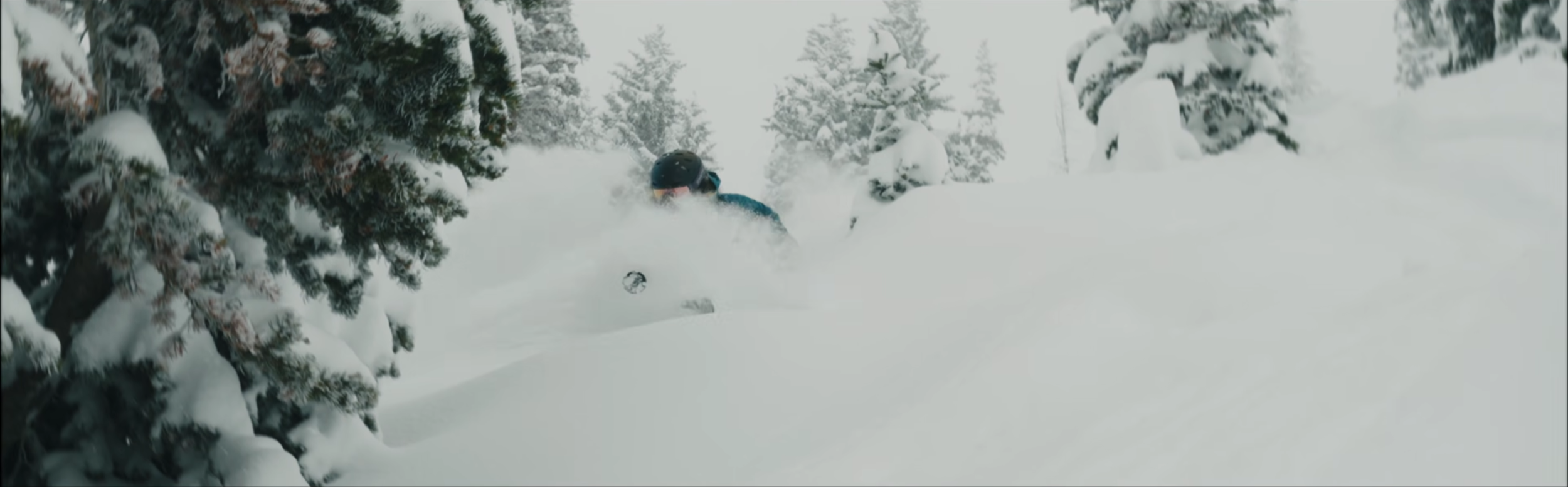 Person wearing a helmet skiing or snowboarding through deep fresh snow in a forest with snow-covered trees.