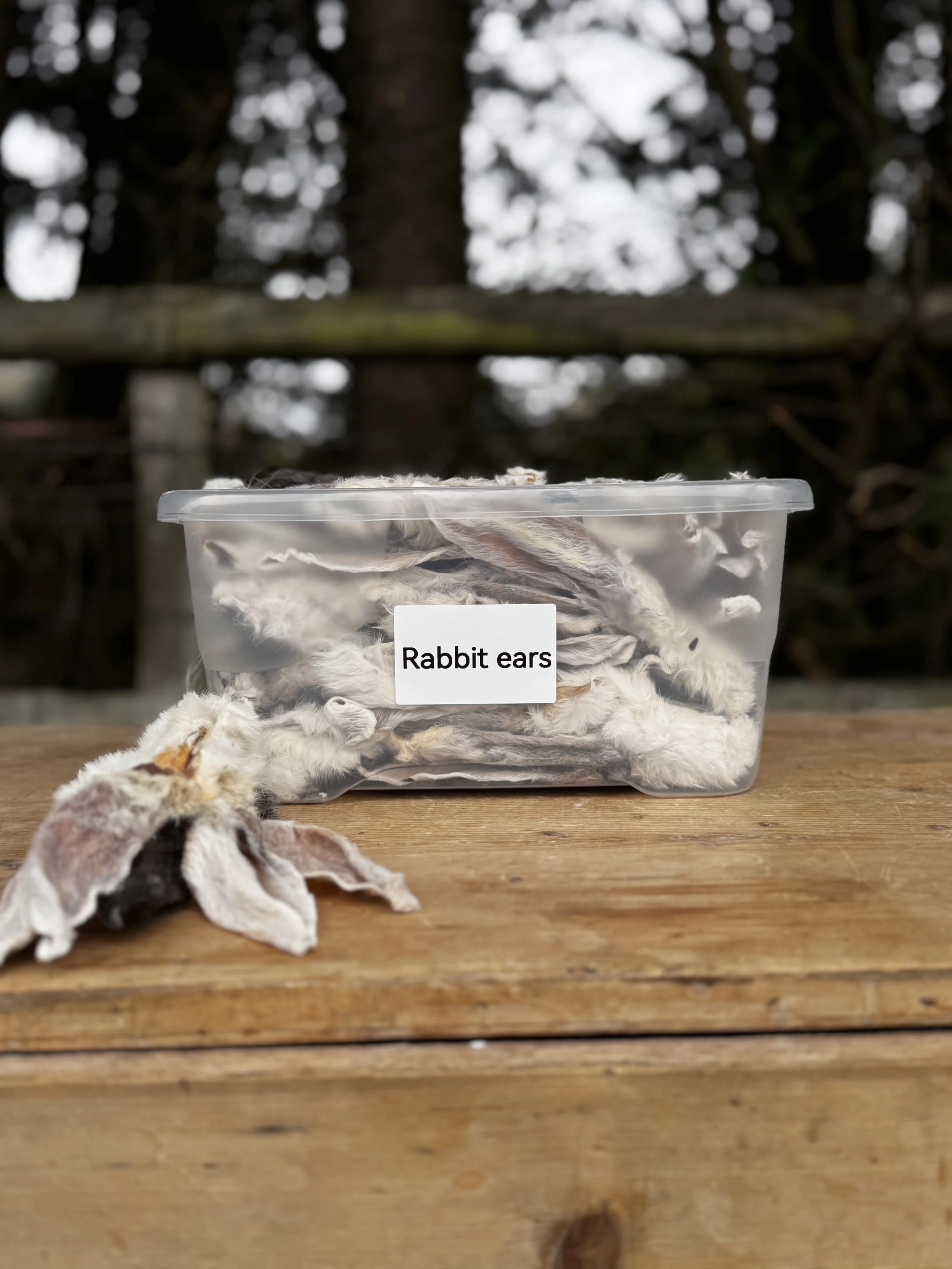 100% natural rabbit ears