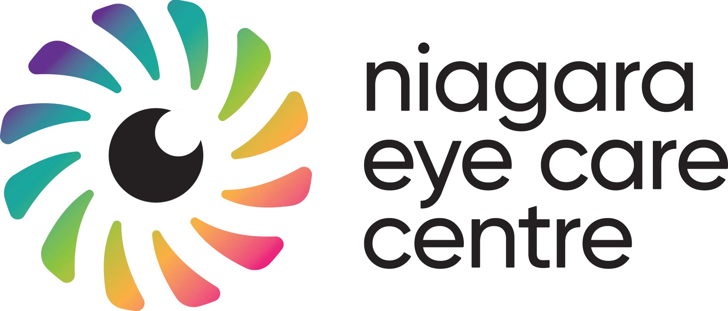 Logo of Niagara Inclusive Exchange Center featuring a black circle with a white center and colorful petal-like shapes radiating outward, alongside the text 'Niagara Inclusive Exchange Center' in black.