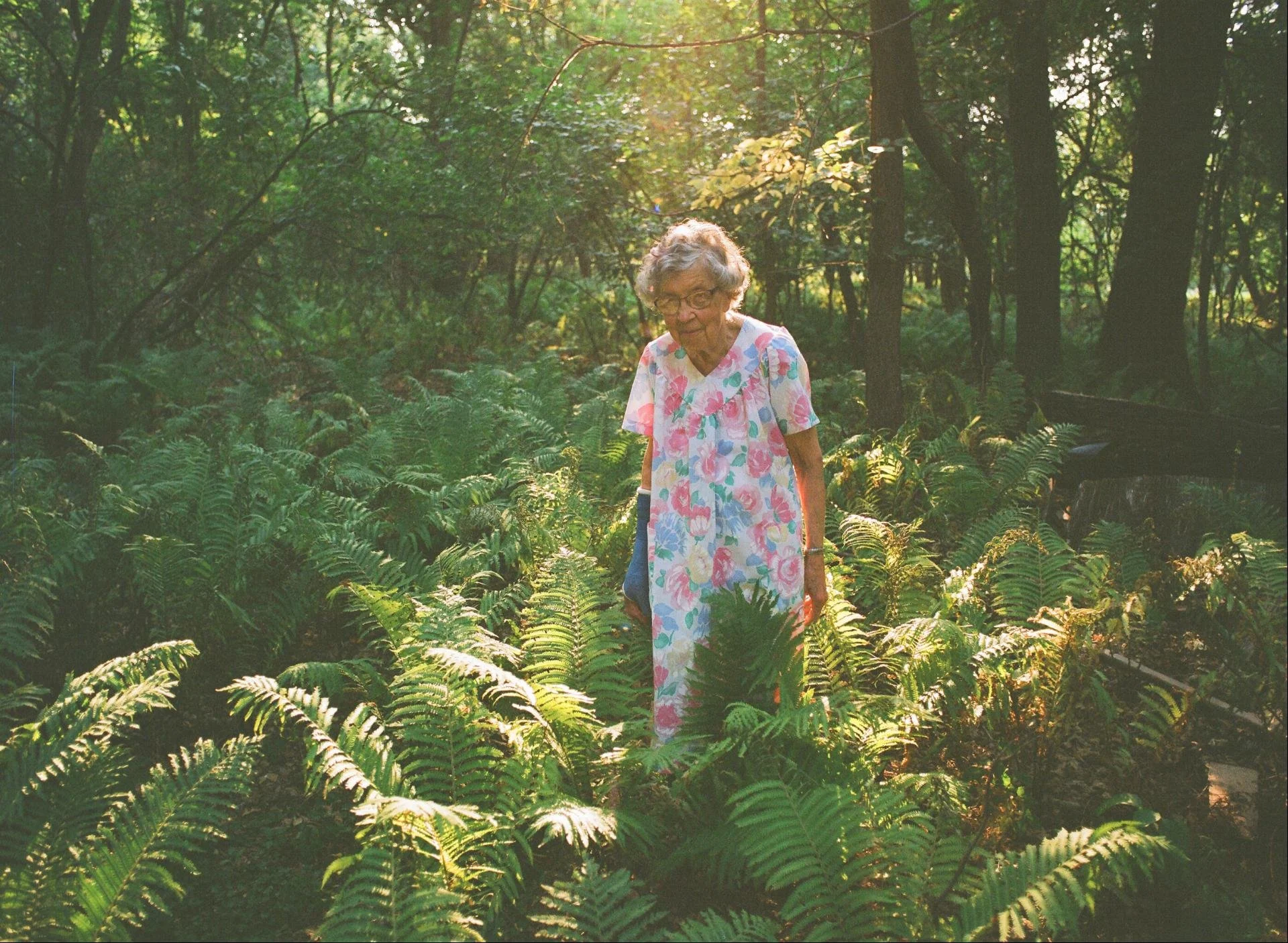 An elderly woman with gray curly hair, glasses, and a colorful floral dress walking through a lush, green forest filled with ferns and tall trees, with sunlight filtering through the canopy.