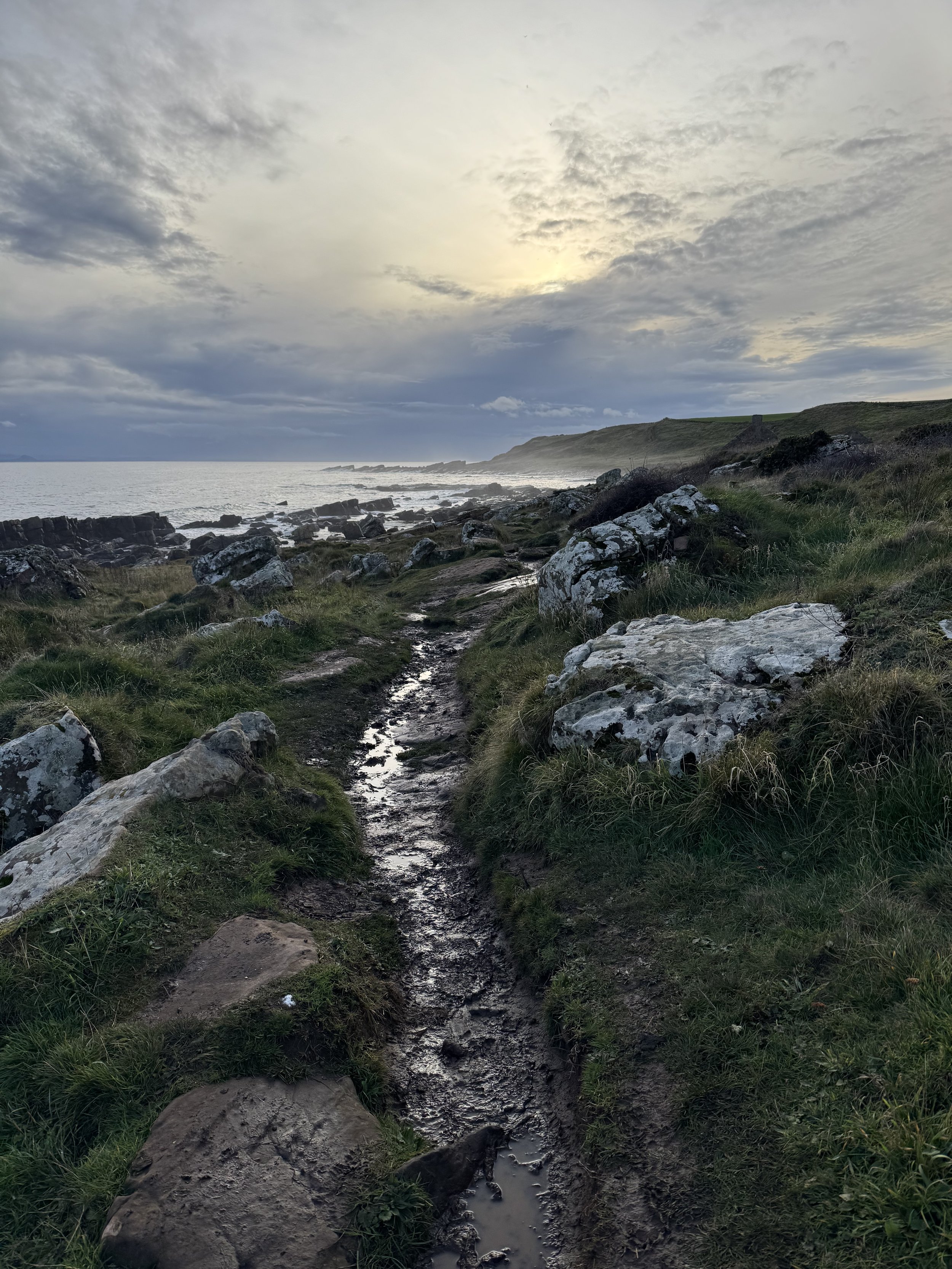 A coastal landscape with a muddy path glistening as it meanders along the border between land and sea. The landscape holds patterned rocks and coastal grasses which emerge from a misty atmosphere under an overcast sky with soft sunlight.