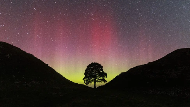 Aurora borealis - northern lights - hexham - scyamore gap