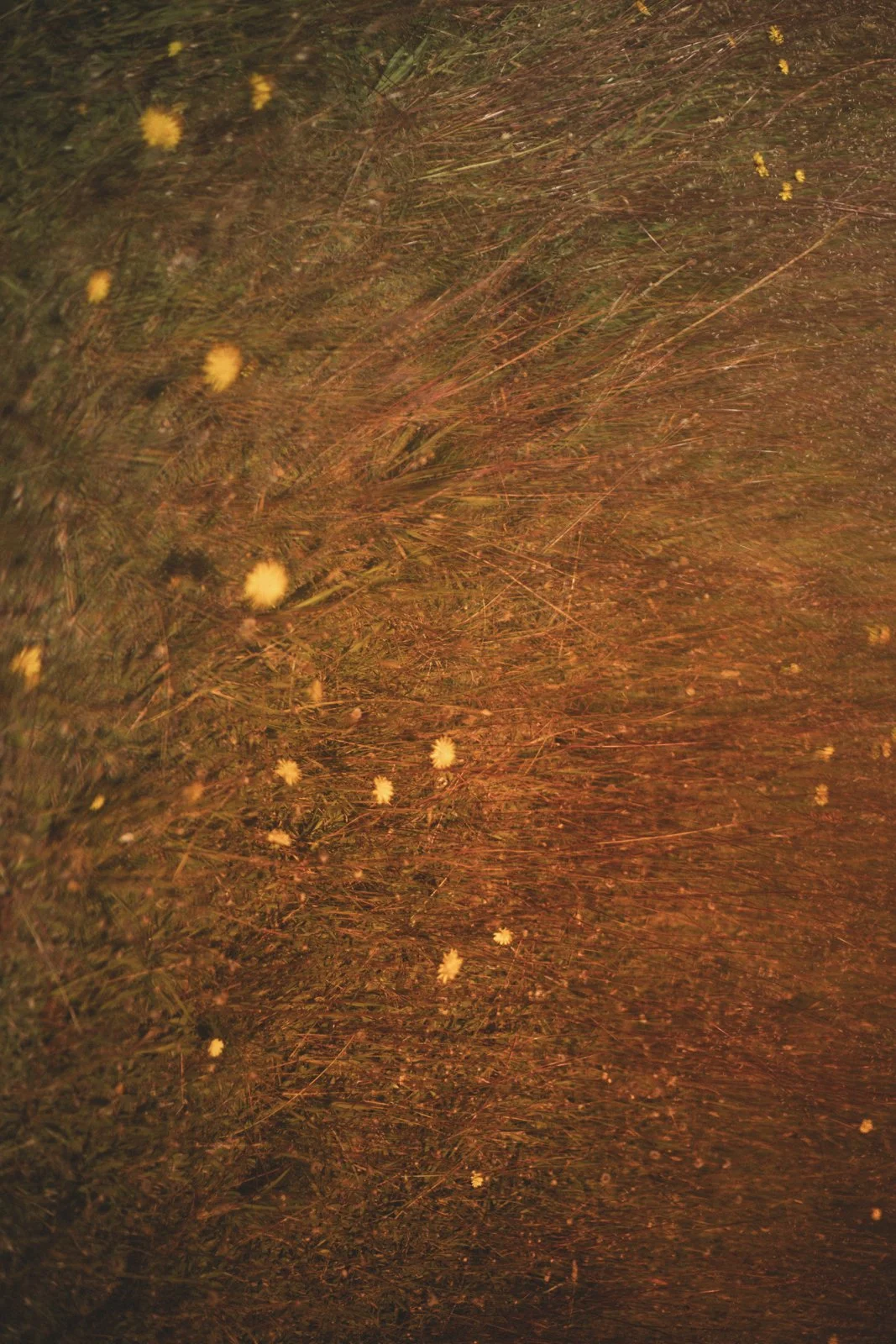 72dpi-9272.jpg
