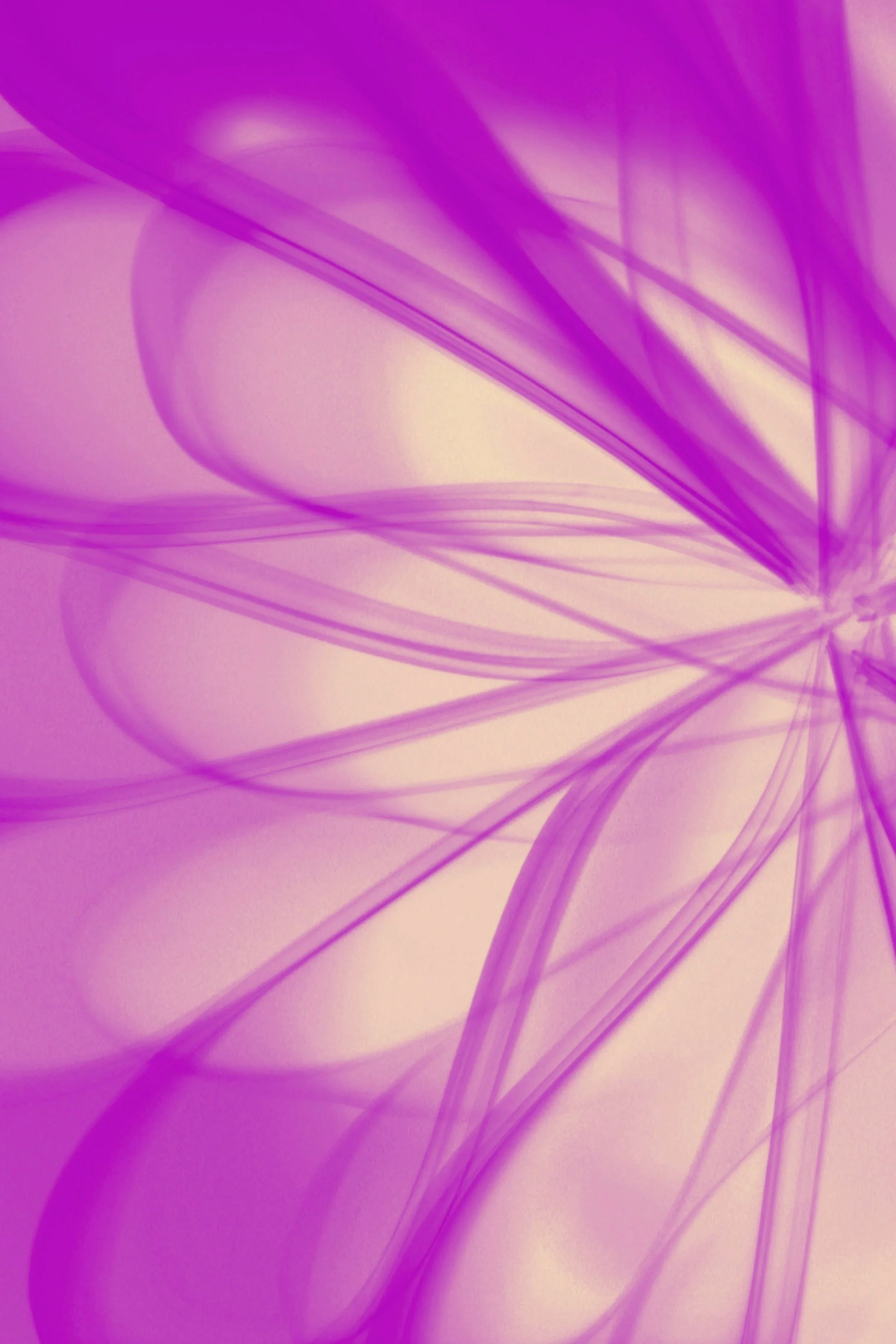 Abstract image with purple and pink, wispy, flowing lines and soft glowing orbs.