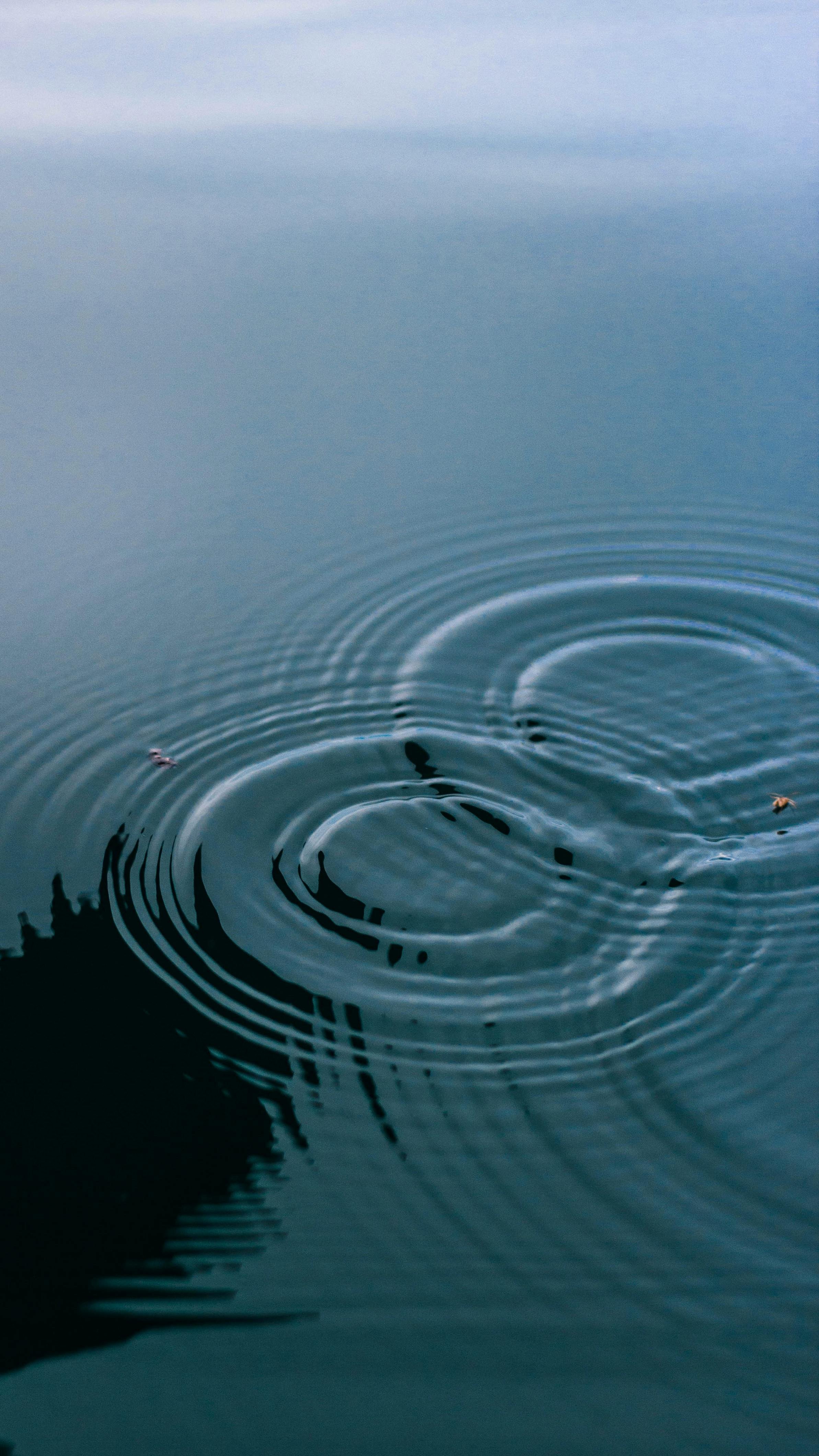 Calm water surface with a few ripples in the foreground, gradually transitioning to a smooth, reflective water body under a blue sky.