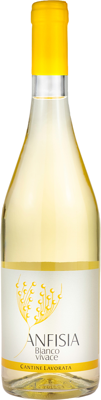 Anfisia Vivace IGT Calabria Bianco Bottle