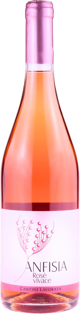 Anfisia Vivace IGT Calabria Rosato Bottle