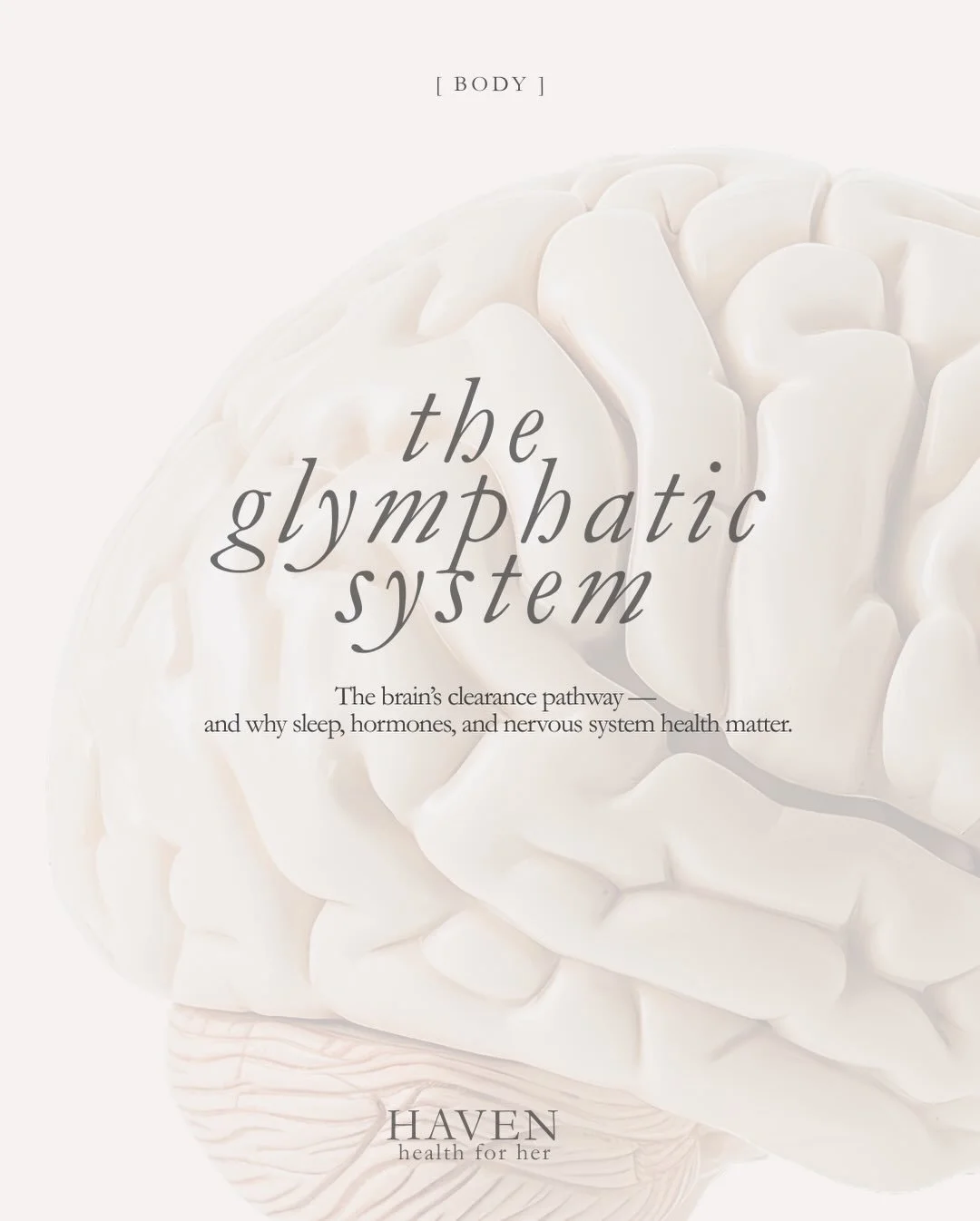 We talk a lot about brain health in terms of focus, mood, and performance.

There&rsquo;s another side that&rsquo;s just as important: how the brain clears waste. Brain health has two sides: performance and recovery.

The glymphatic system is the bra