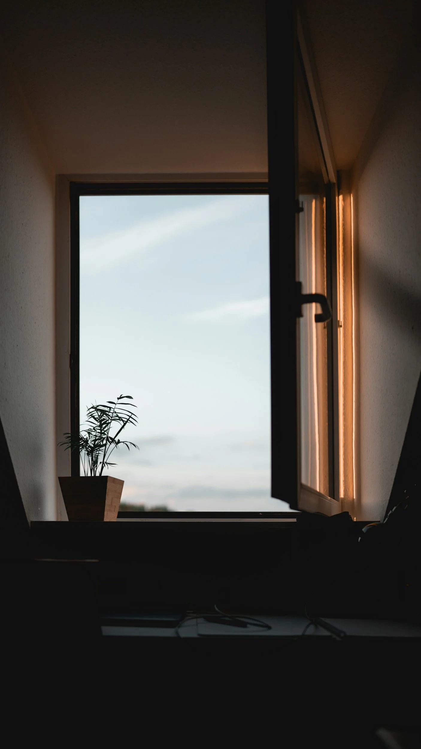 Open window with a potted plant on the windowsill, view of sky with clouds outside, warm sunlight illuminating the window frame from the right side.