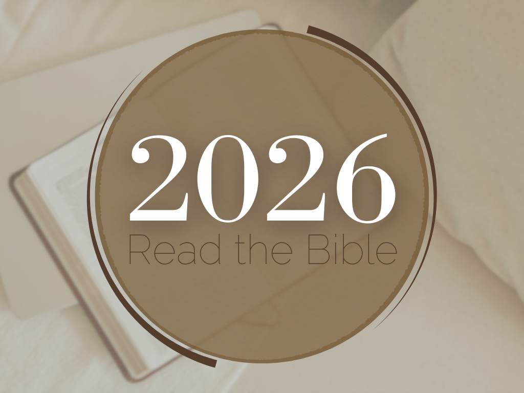 Open Bible, notebook, and dried flowers on a bed.