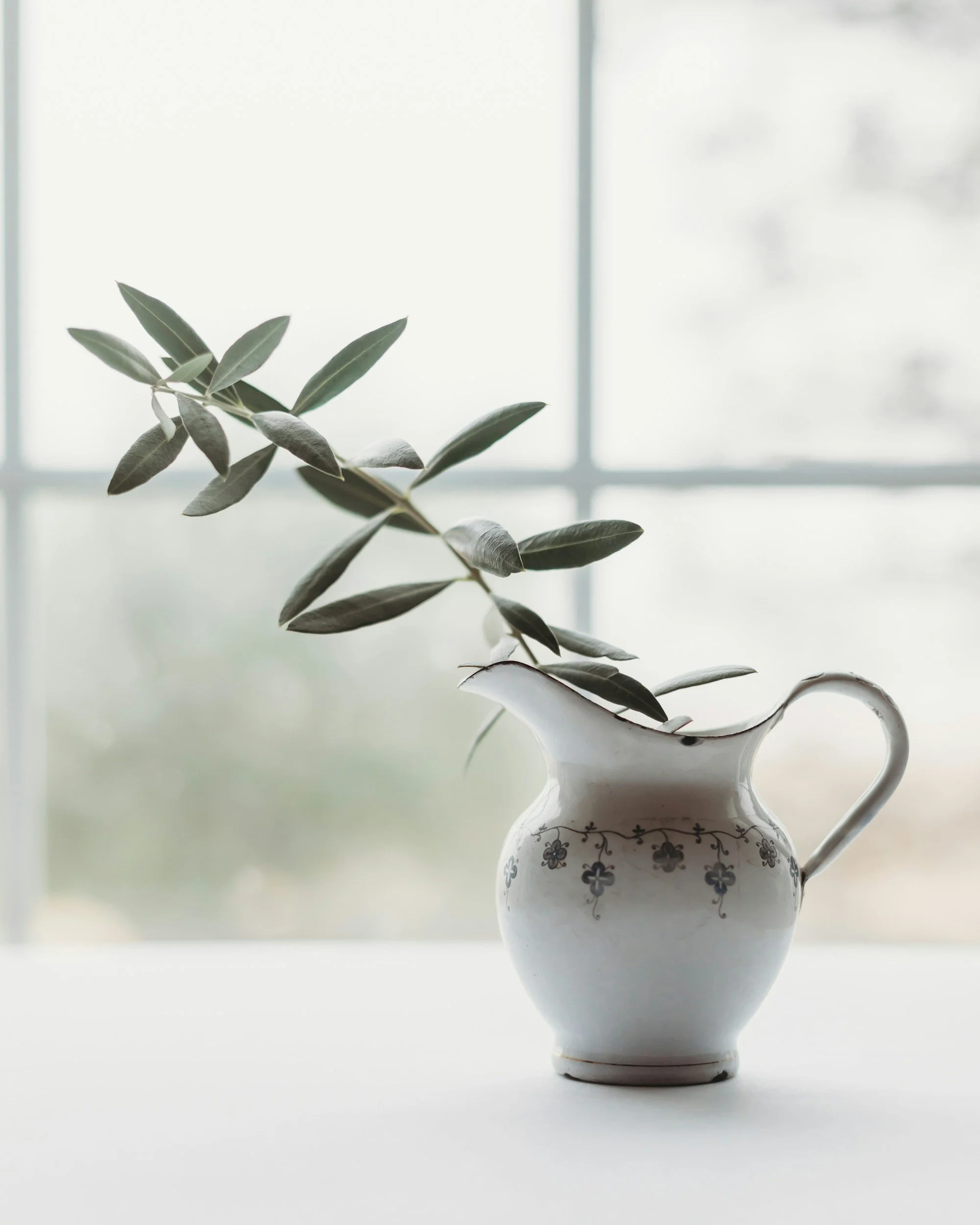 A white ceramic pitcher with a blue floral design, holding a single olive branch branch with green leaves, placed on a white surface in front of a window.