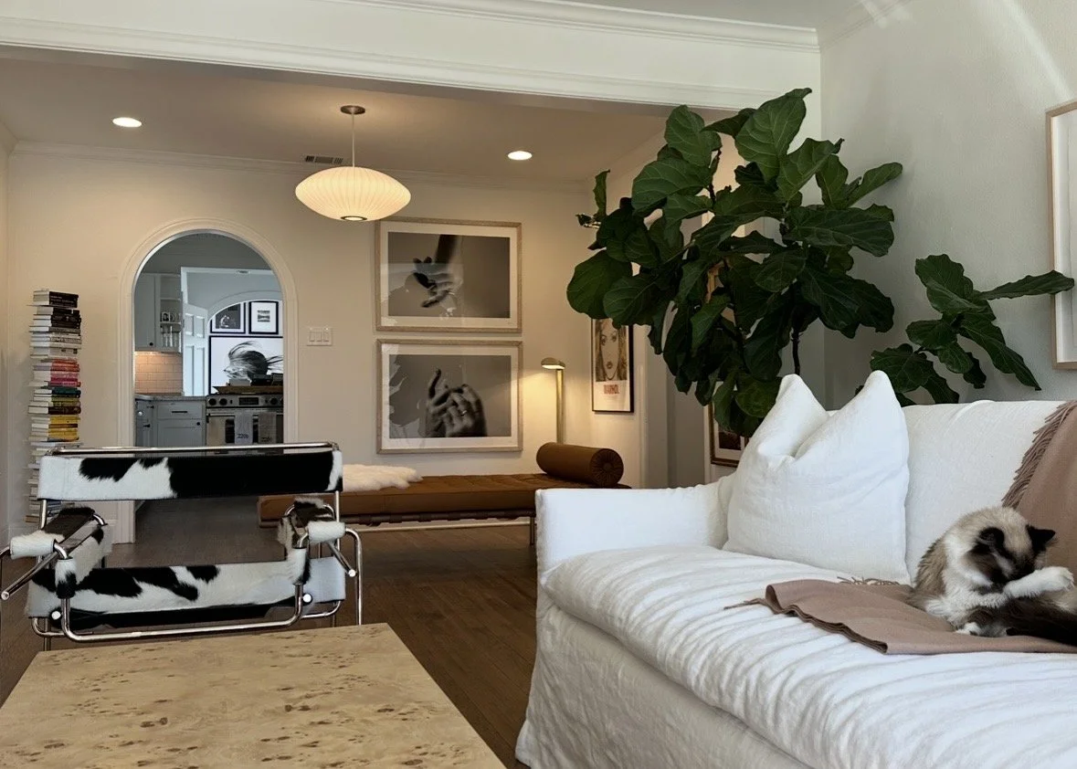 Living room with white couch, large green plant, framed artwork, and a cat grooming itself on the couch. In the background, a tan Barcelona bench, art, and an archway leads to a kitchen with a stack of books on the side.