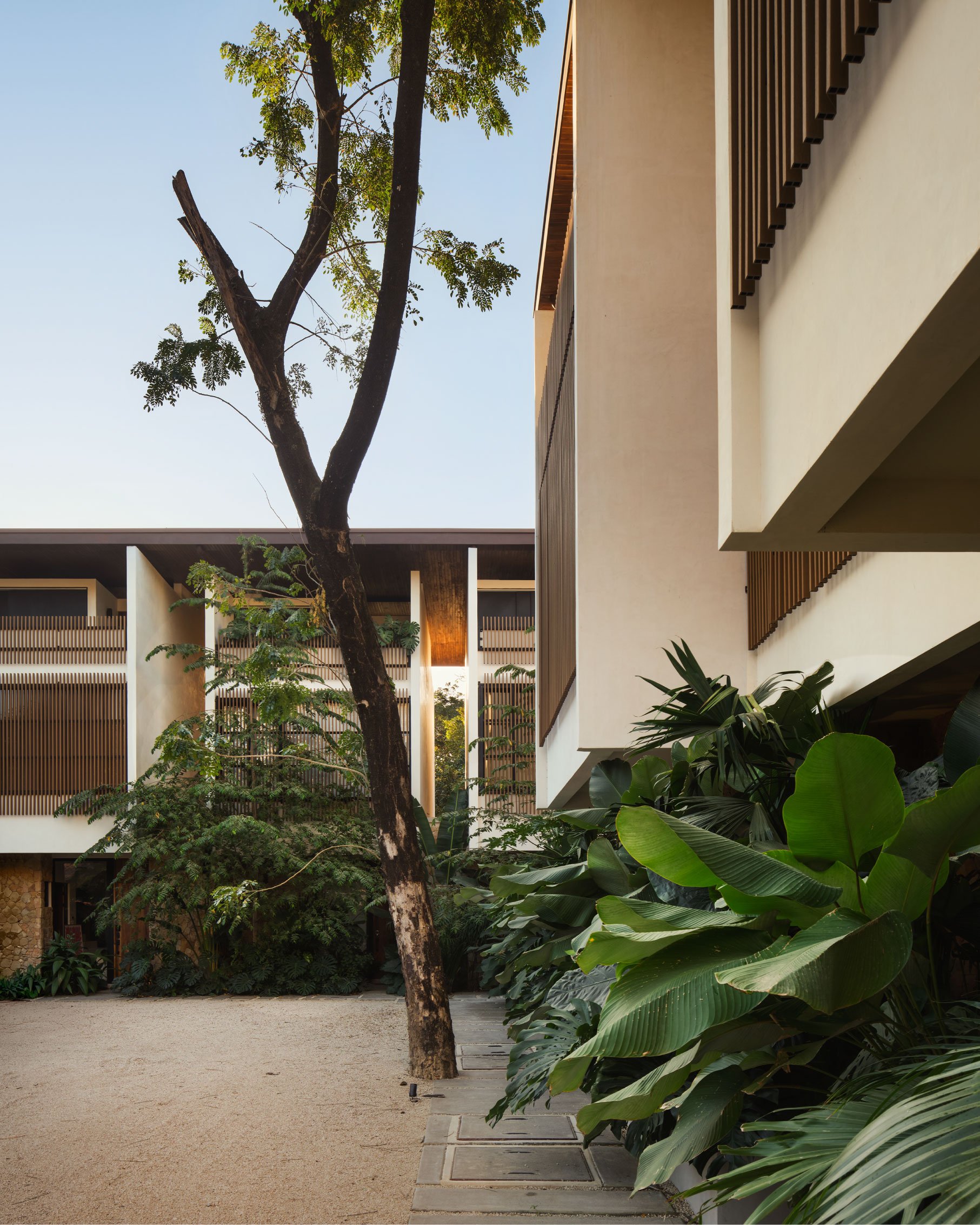 El Molino exterior in Nosara, Costa Rica, framed by a mature tree and timber-louvered balconies, by FAMM Arquitectura