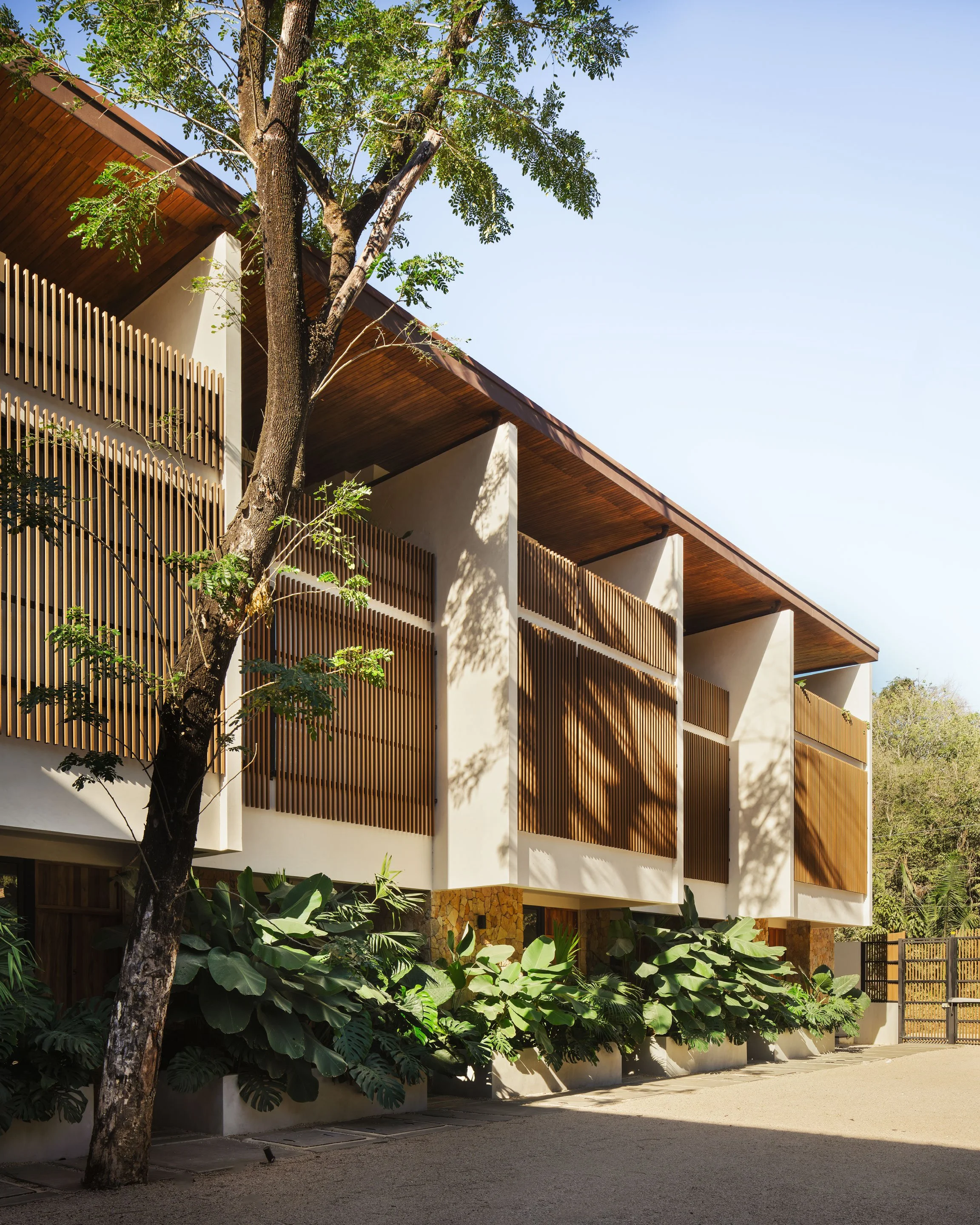 El Molino courtyard in Nosara, Costa Rica, with timber louvers, stone base and tropical planters, by FAMM Arquitectura