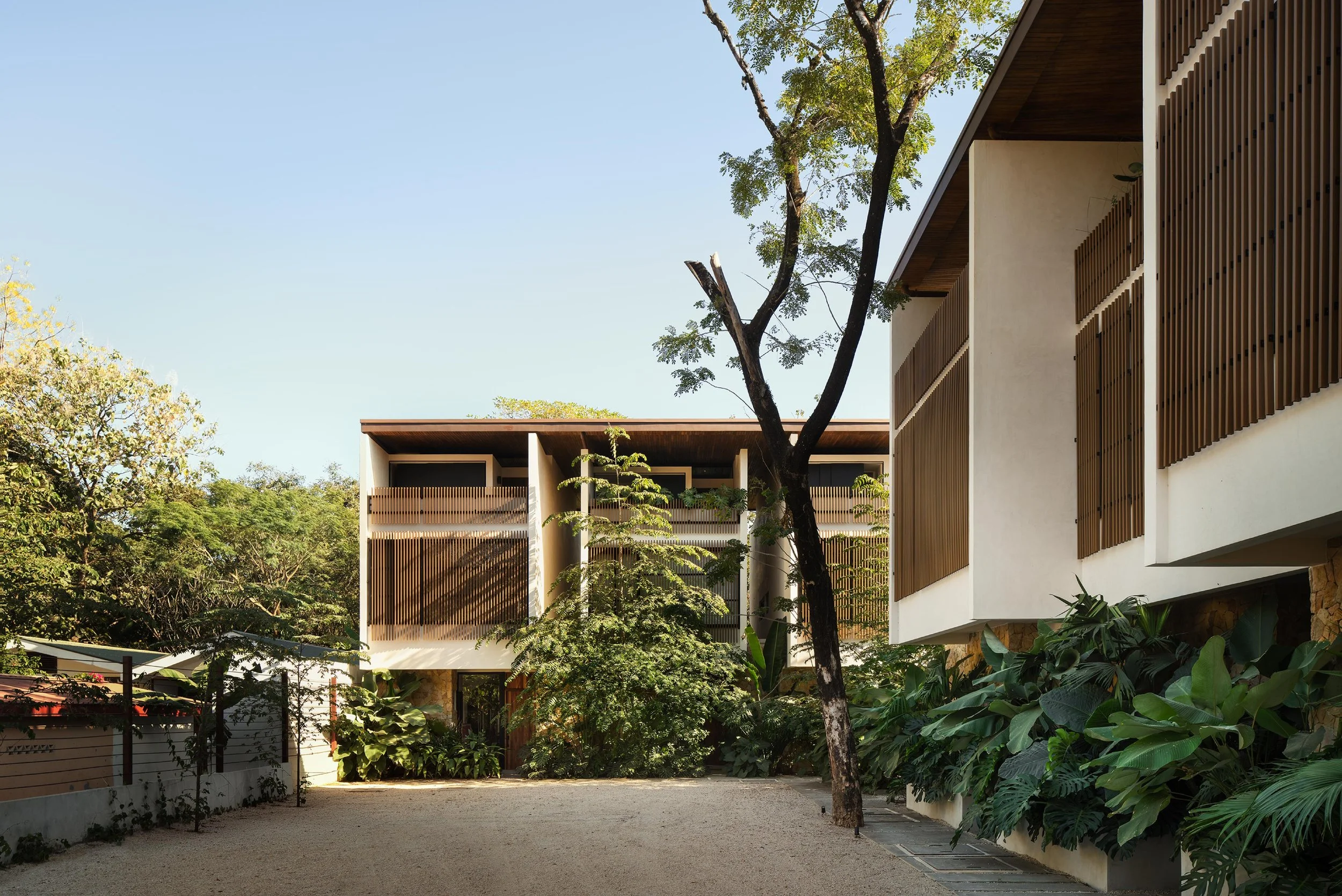 El Molino gated entrance in Nosara, Costa Rica, with timber louvers, stone walls and planters, by FAMM Arquitectura