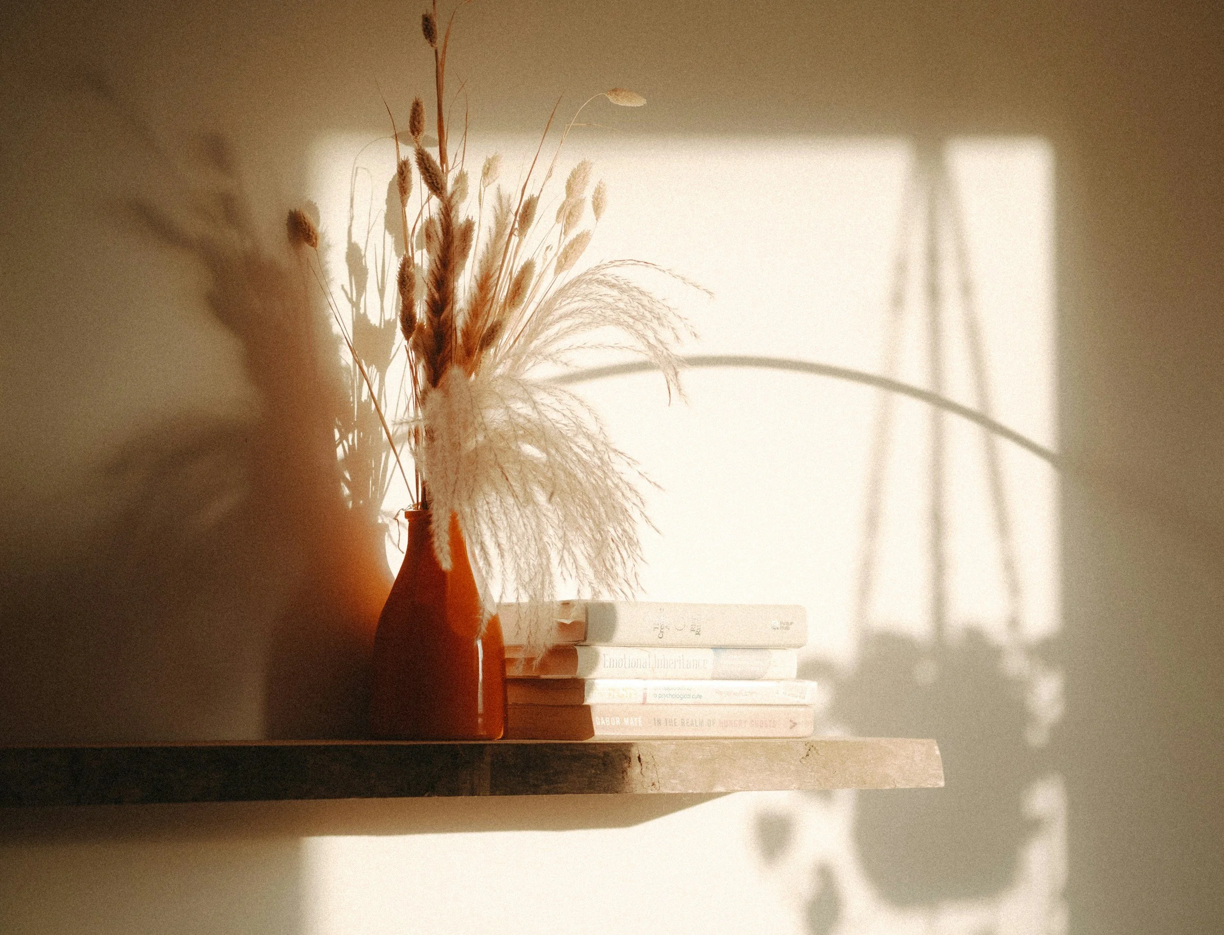 books hanging on a shelf