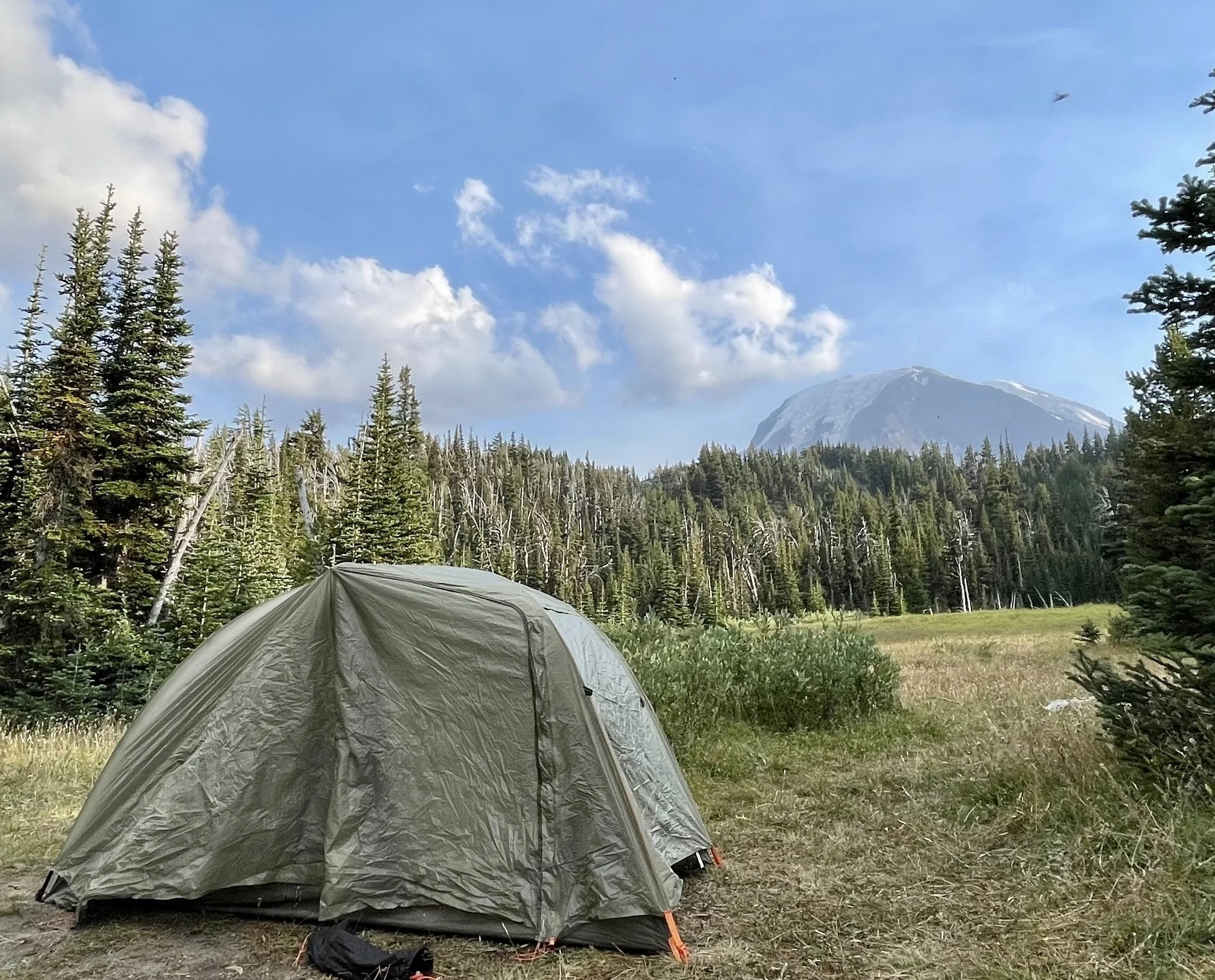 A tent set up in a forest clearing with mountains and a blue sky with clouds in the background.