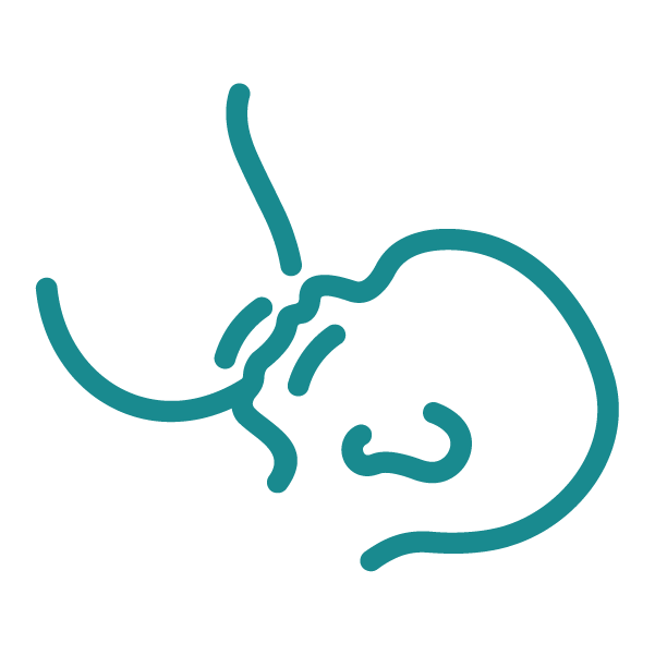 Infant feeding and swallowing evaluation for babies experiencing bottle feeding or feeding challenges.