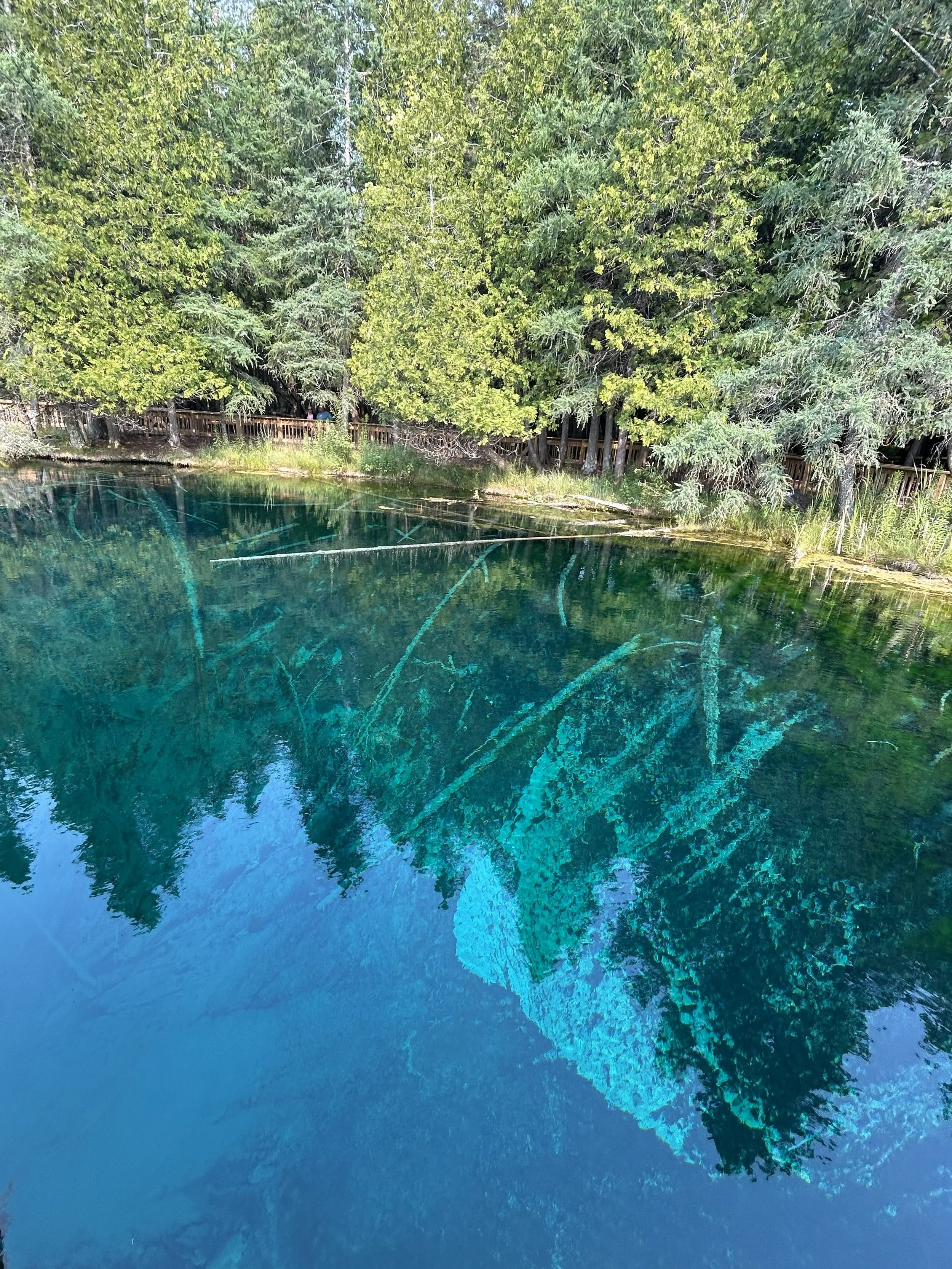 Environmental Protection &amp; Climate Responsibility