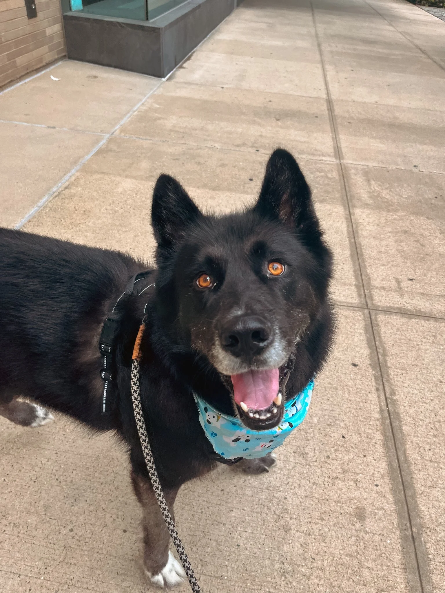 E0354CA0-F96B-45C7-9396-81DCA3099E15 2.jpg