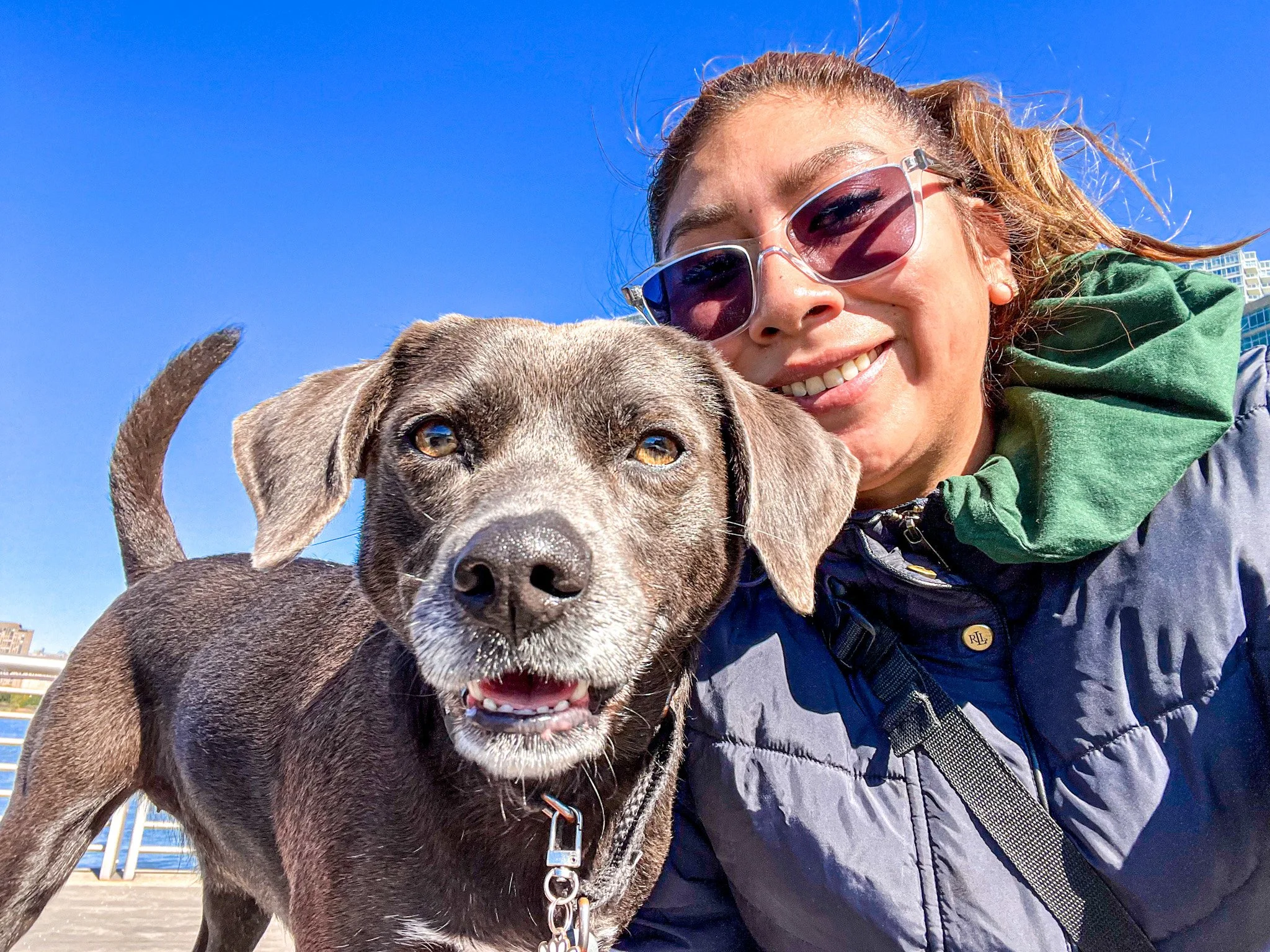 The owner of Kwoof, wearing sunglasses, smiles and takes a selfie with a happy gray-and-brown dog on a sunny day, with blue sky and city buildings in the background.