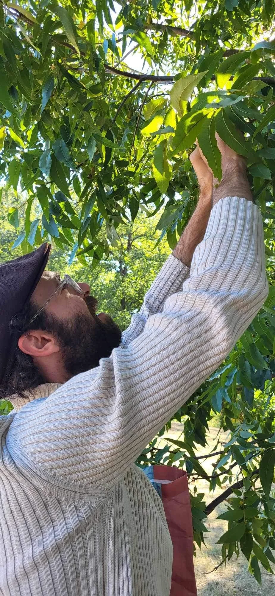 Foraging Walk & Talk