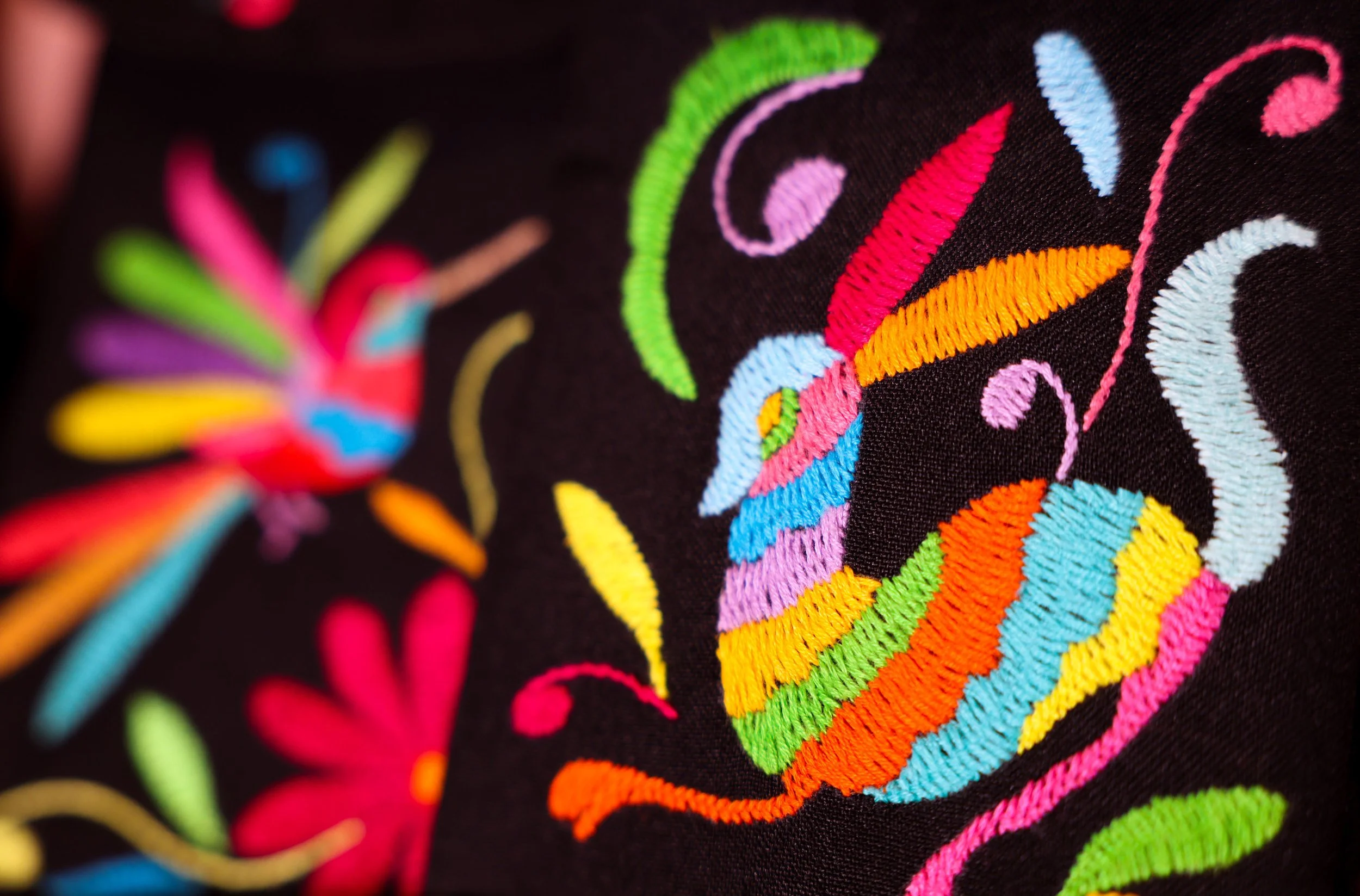 Tenango Style Embroidery Series – Painting with Thread