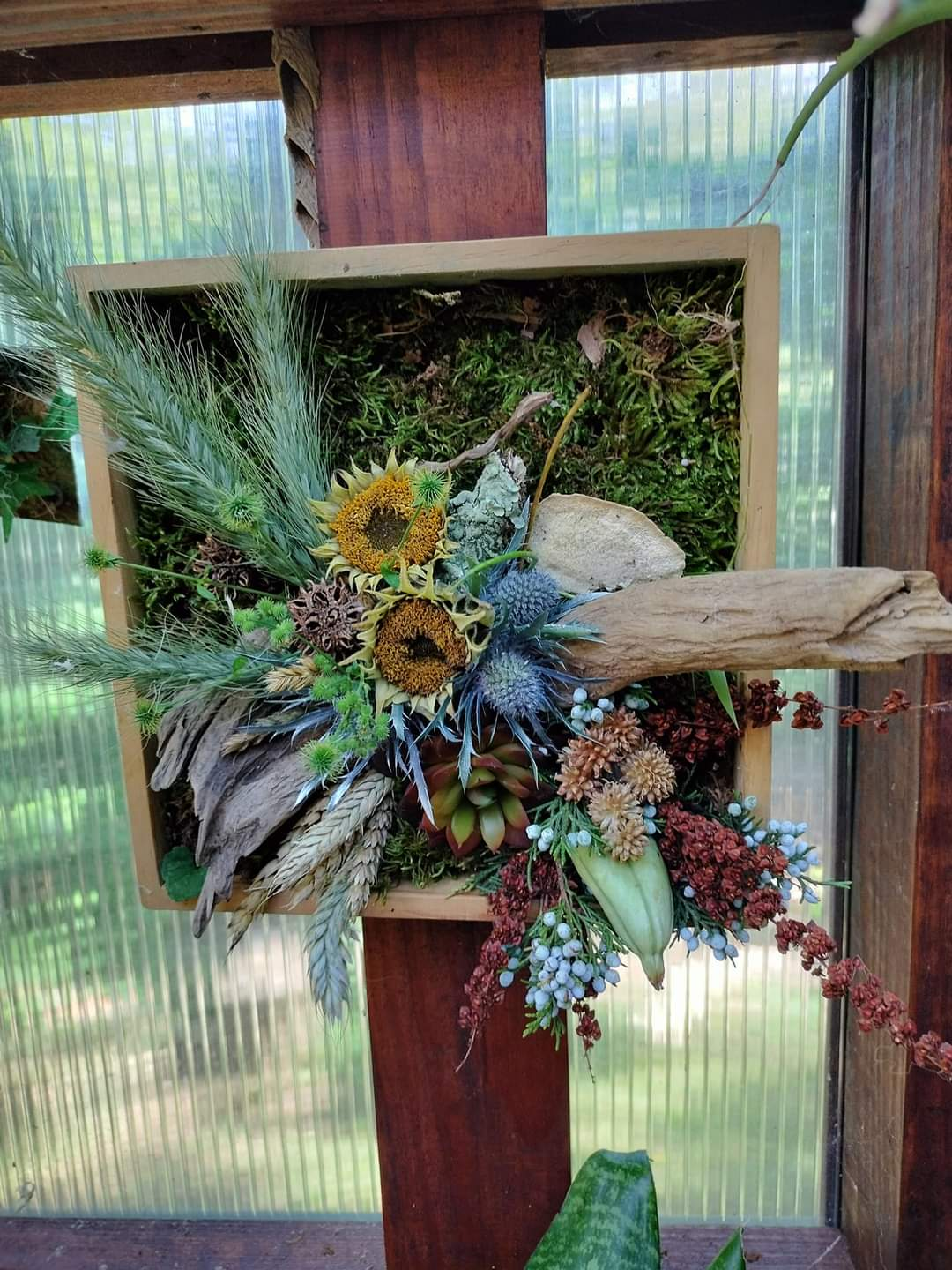 Botanical Shadow Boxes w/ John Ford