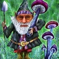 ABCs of Summer Mushrooms