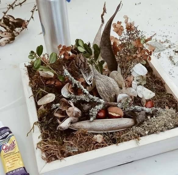 Botanical collage w/ John Ford
