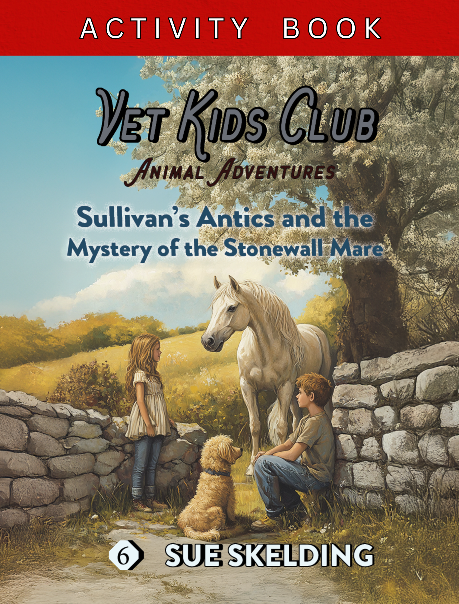 Rev26 Activity Bk COVER VKC 6 Sullivan.png