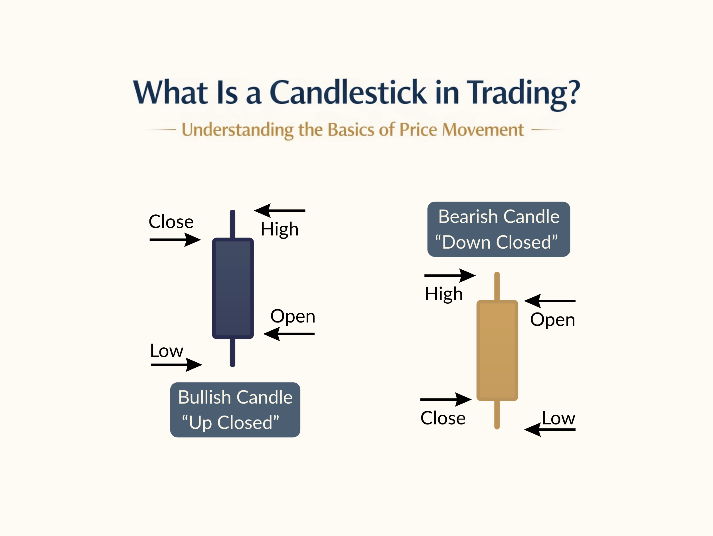 a clean visual showing the difference in the anatomy of bullish and bearish candles in trading