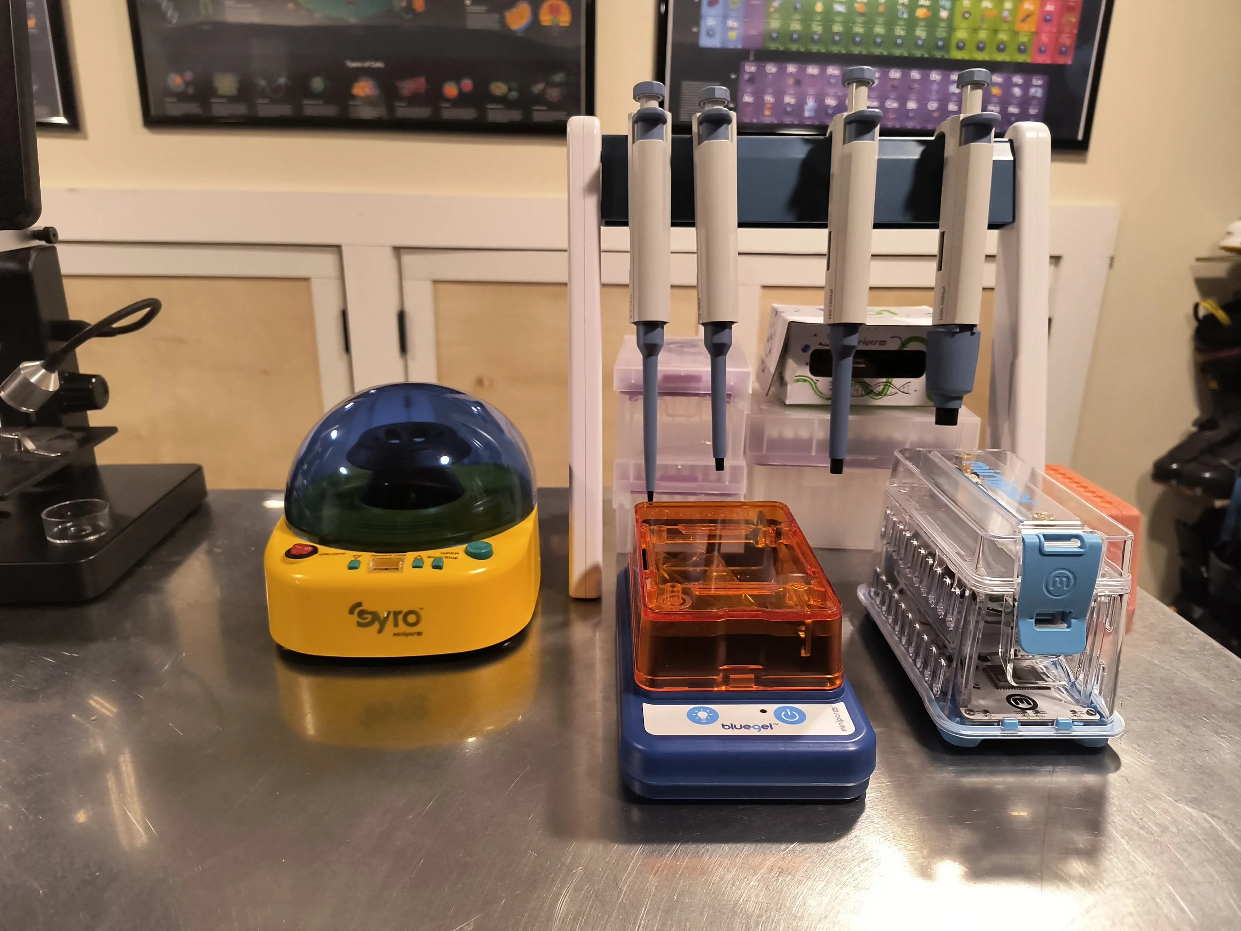 Could Dogs Hold the Key to Understanding Human Diabetes? My Genetic Quest!