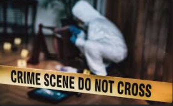 Cracking the Case: A Forensic DNA Mystery