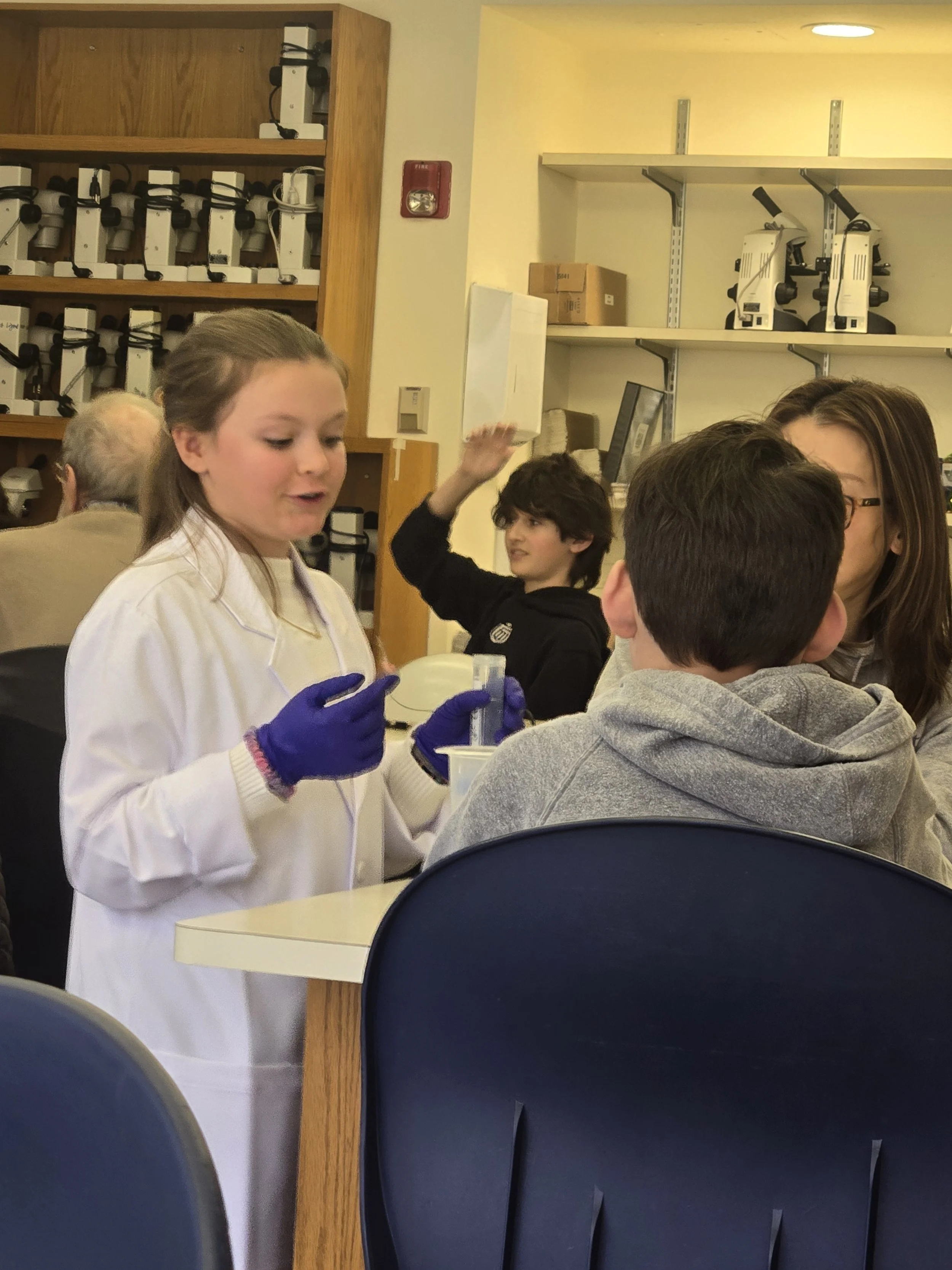 🧬 Create a Karyotype Lab at CSH: A Day of Hands-On Genetics!