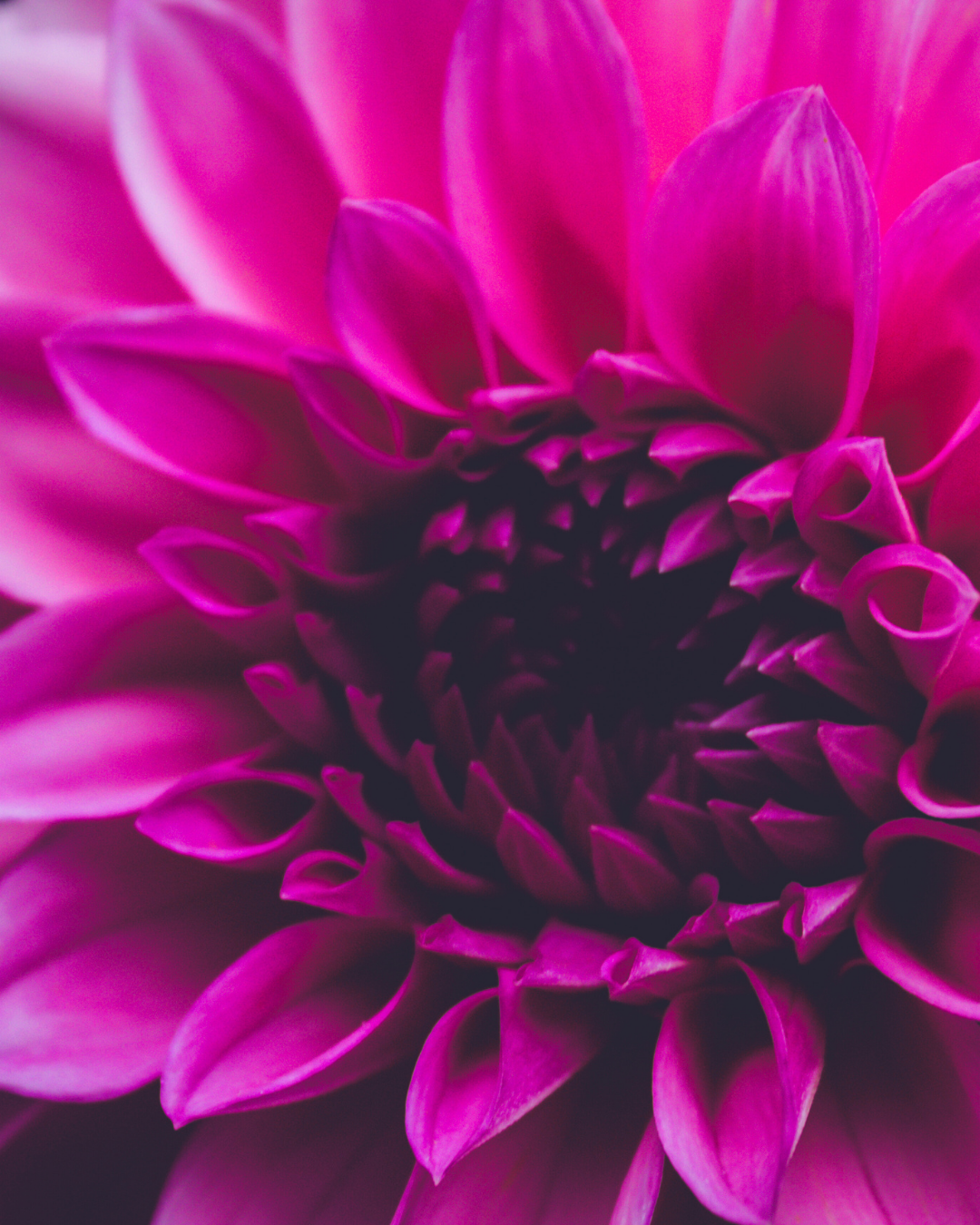 Mother’s Day Mini Wellness Retreat