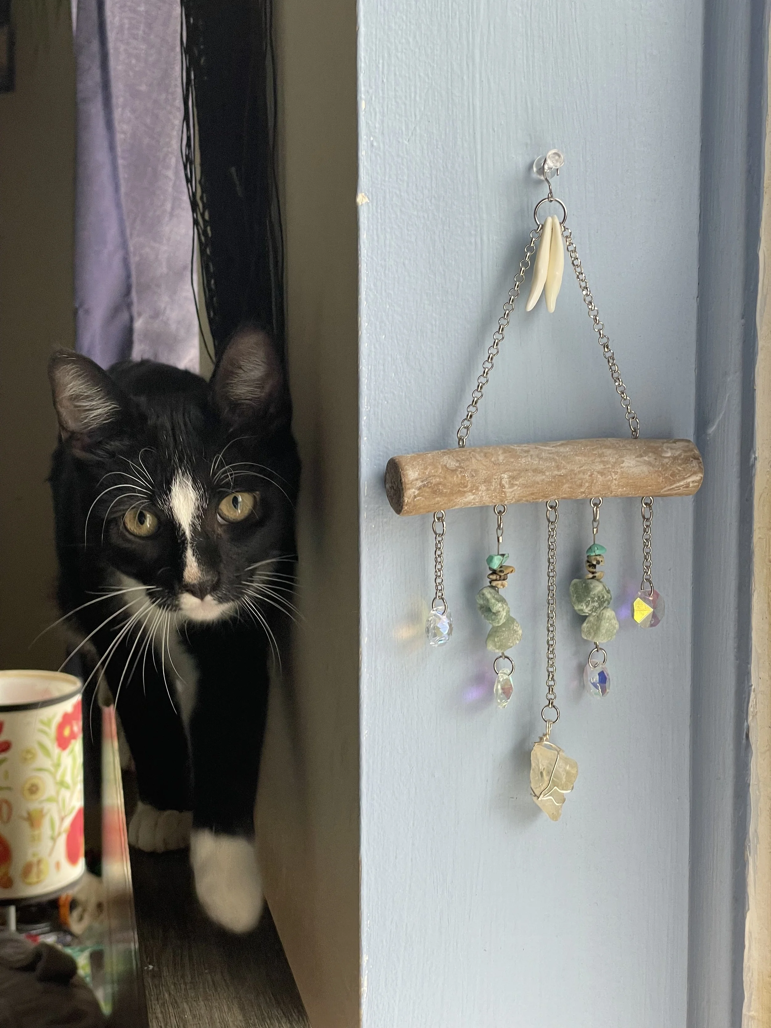 driftwood crystal suncatcher with honey citrine calcite, amazonite, and coyote teeth